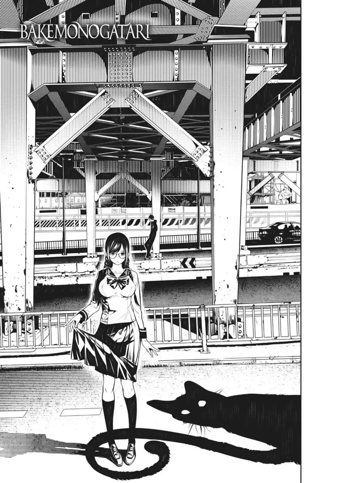 Bakemonogatari Volume 14 page 159