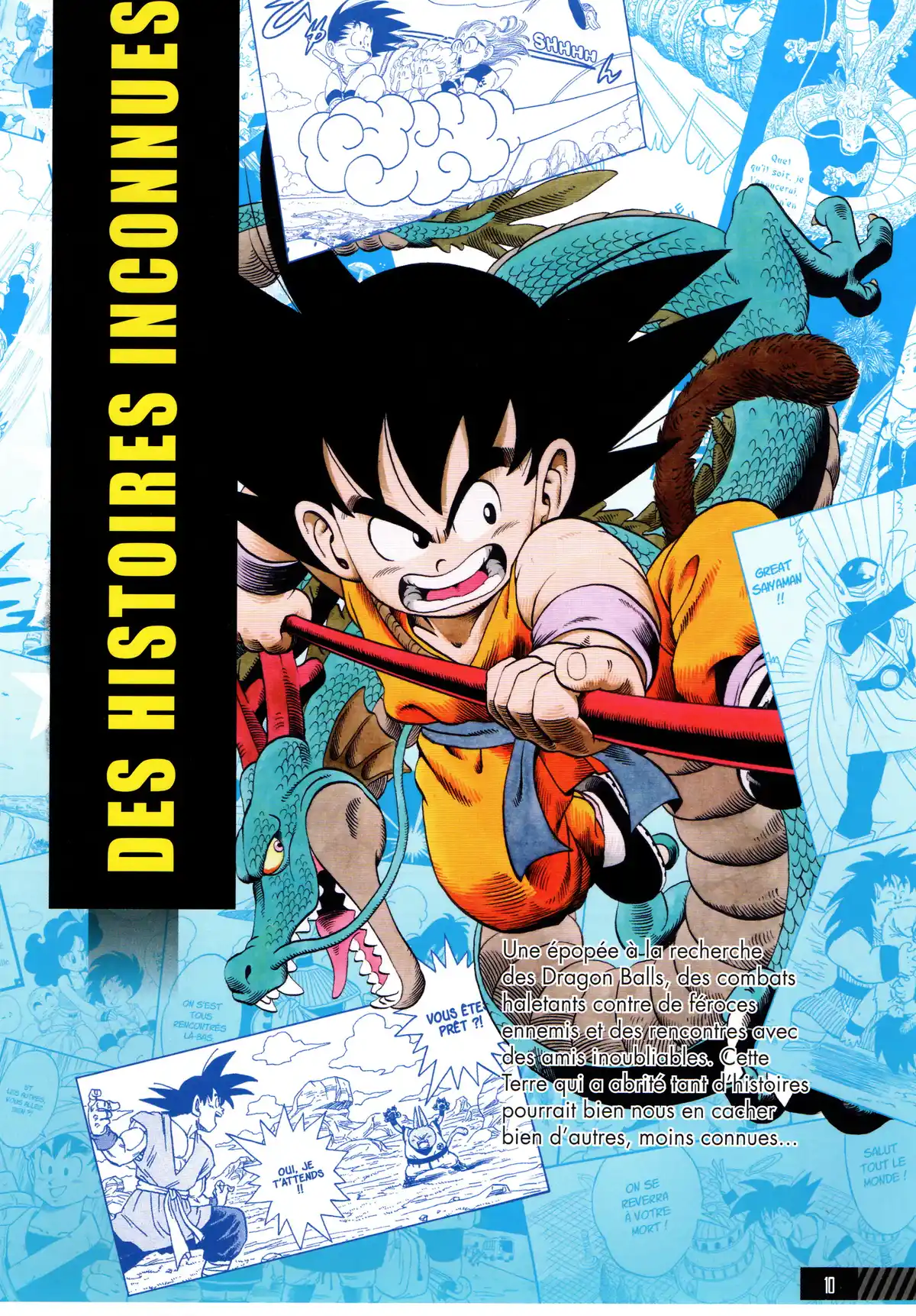 Dragon Ball – Le Super Livre Volume 1 page 11