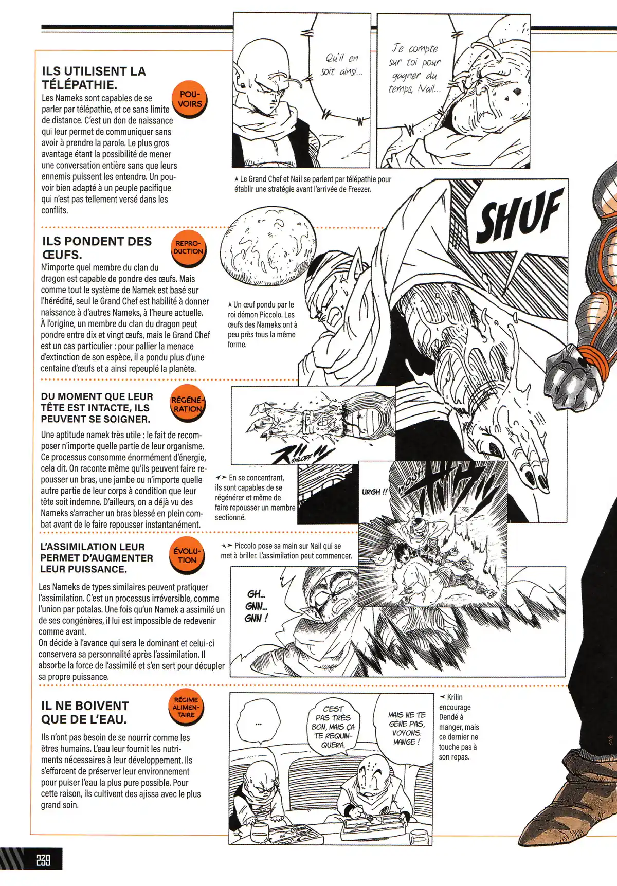 Dragon Ball – Le Super Livre Volume 1 page 240