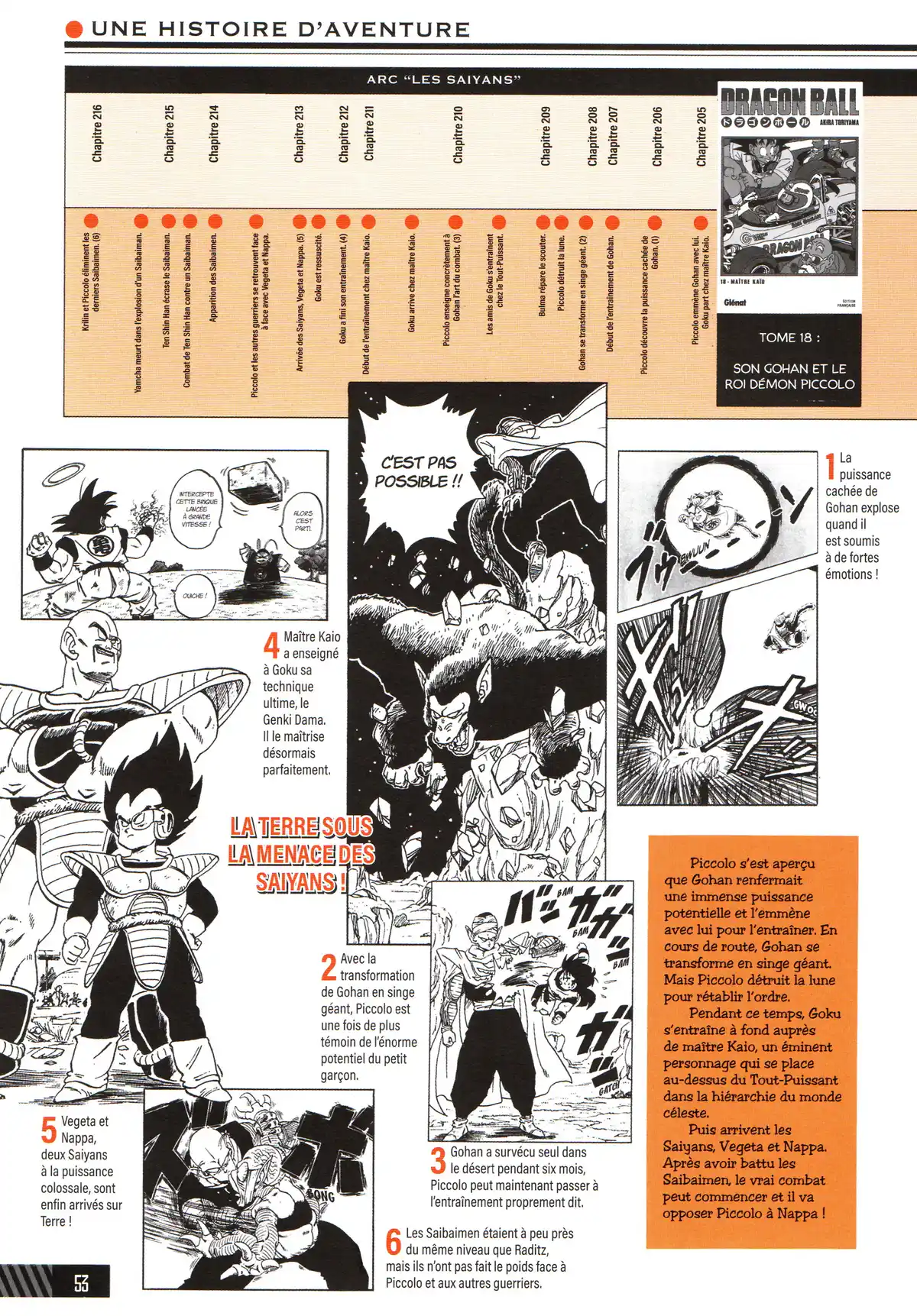 Dragon Ball – Le Super Livre Volume 1 page 54