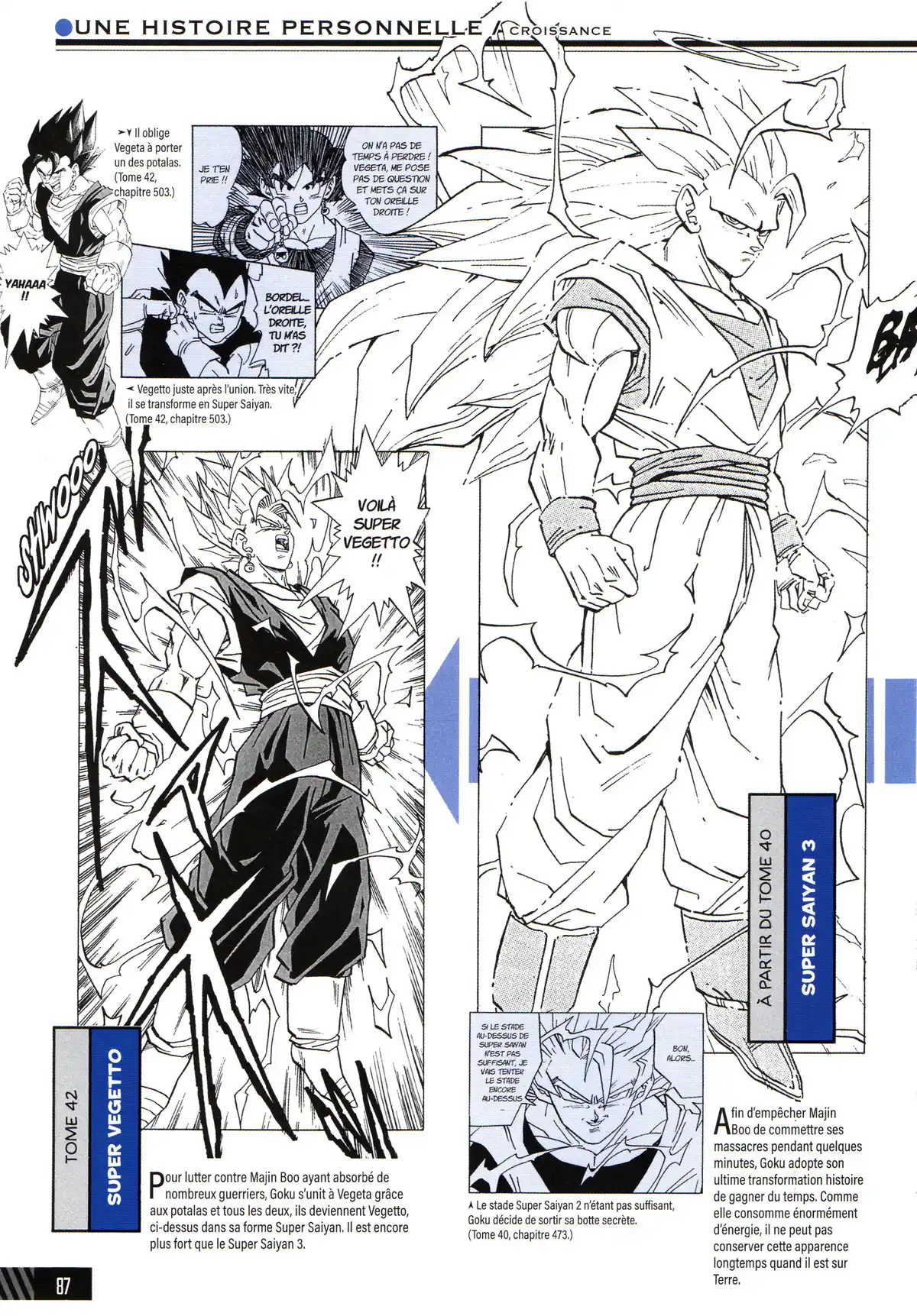 Dragon Ball – Le Super Livre Volume 1 page 88