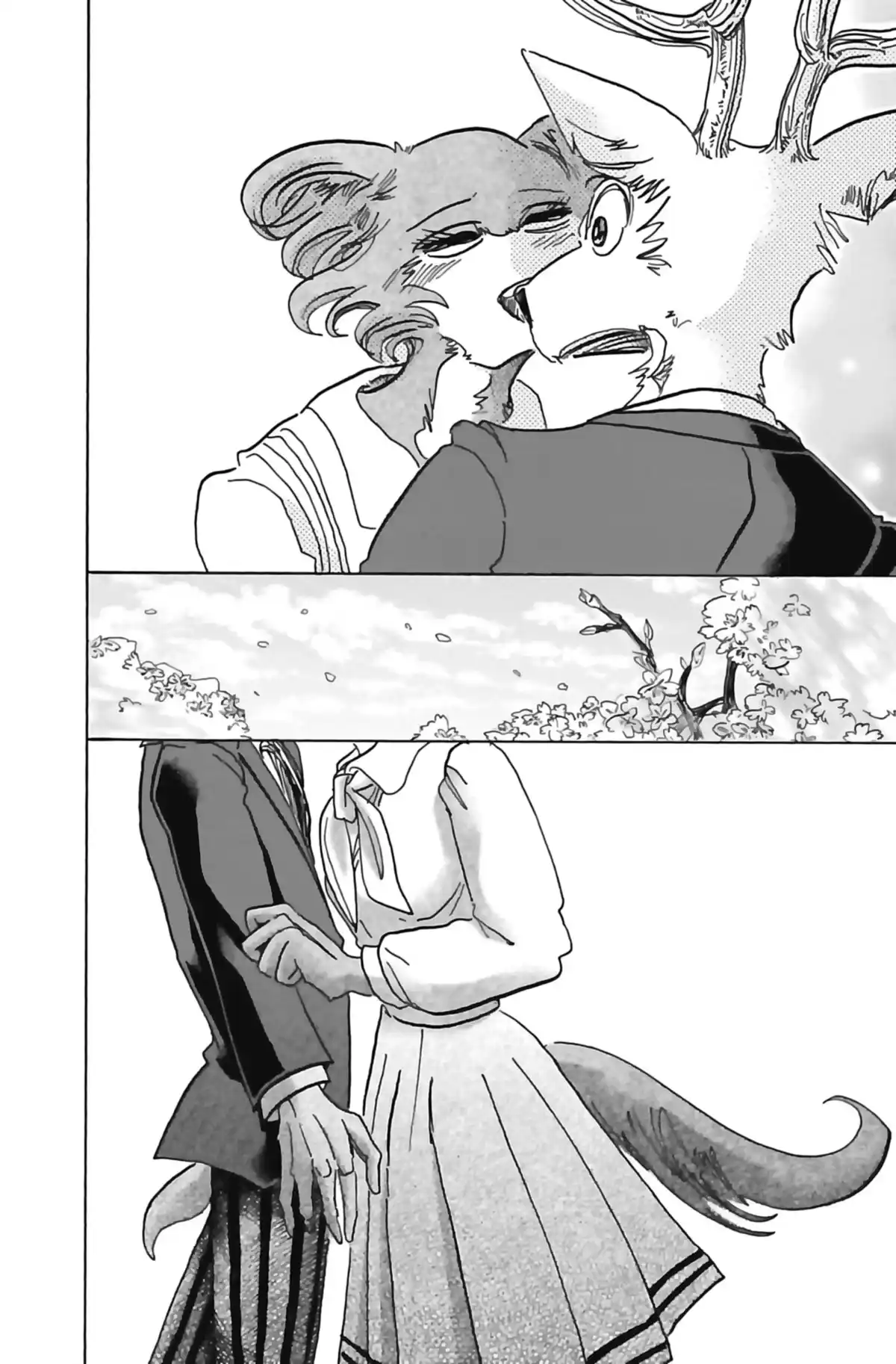 BEASTARS Volume 12 page 155