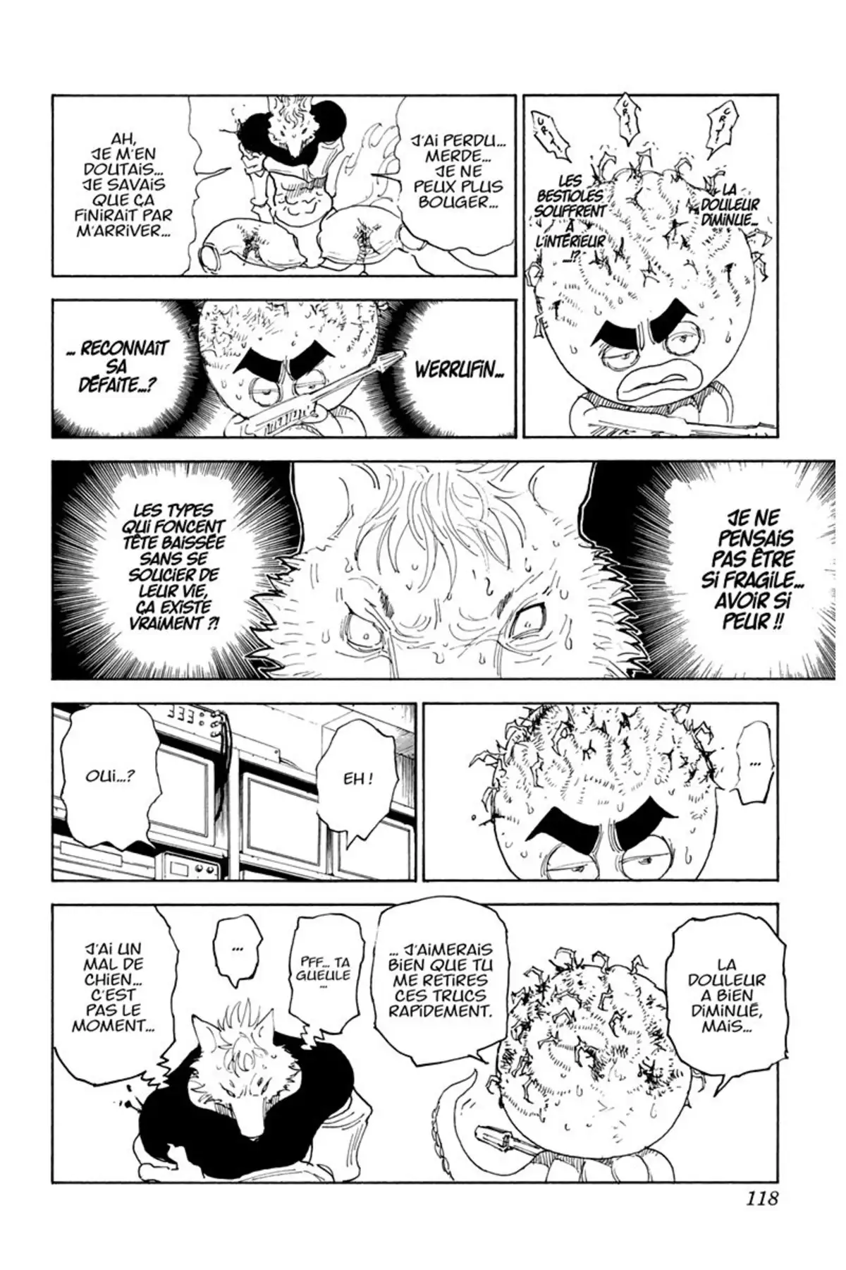 HUNTER x HUNTER Volume 28 page 117