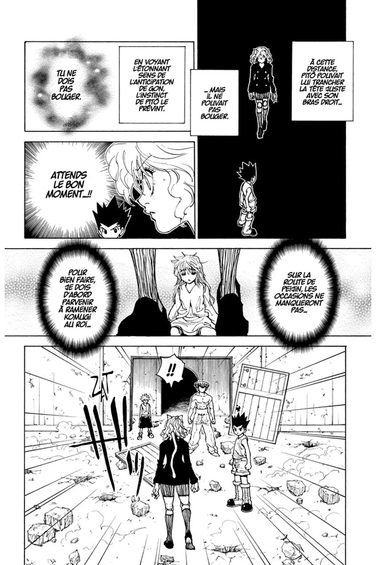 HUNTER x HUNTER Volume 28 page 201