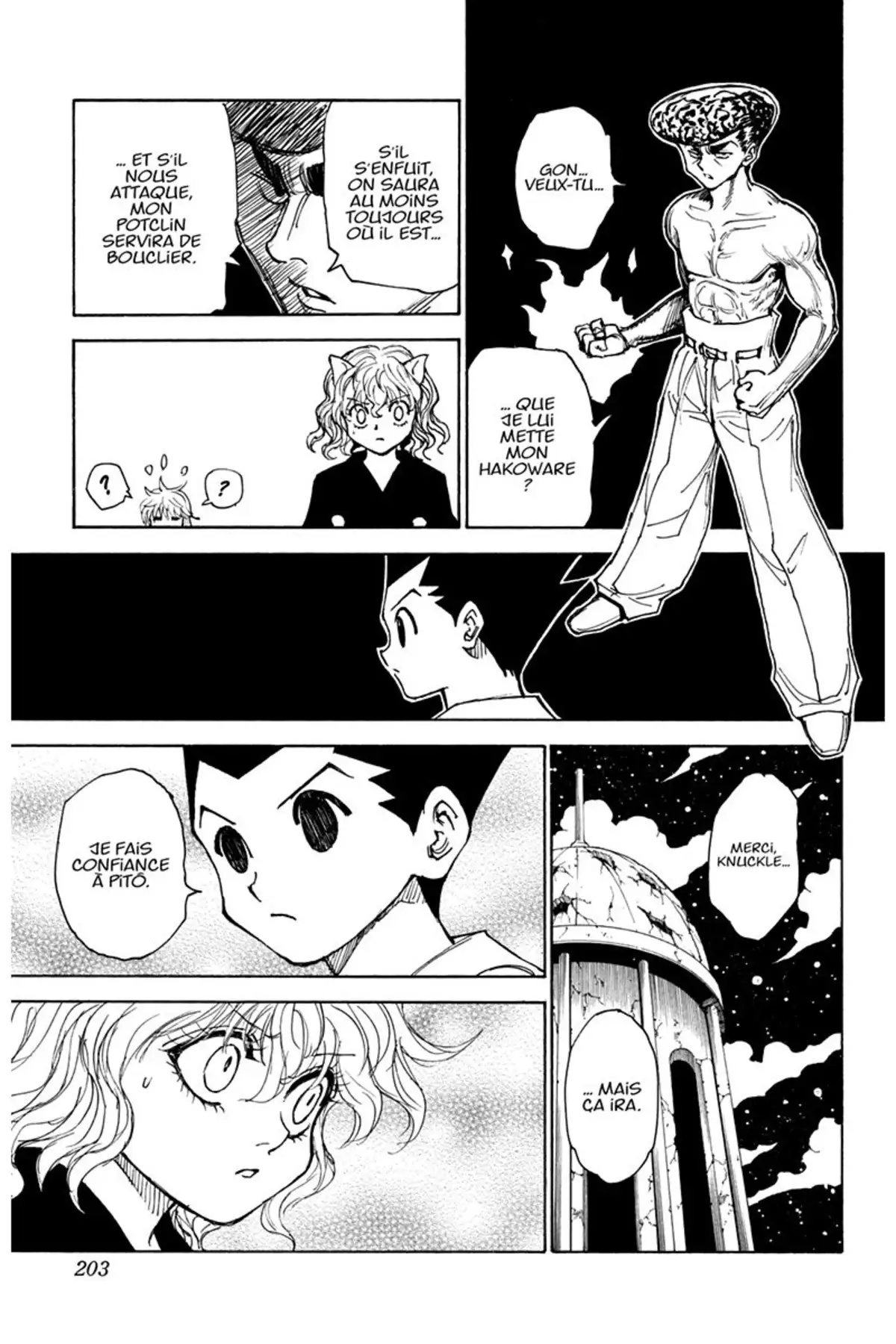 HUNTER x HUNTER Volume 28 page 202