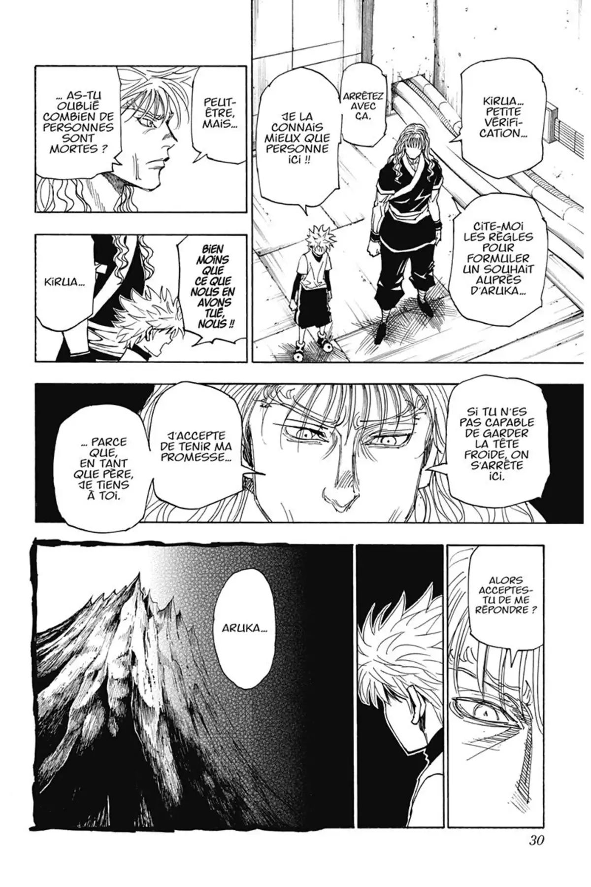 HUNTER x HUNTER Volume 31 page 29