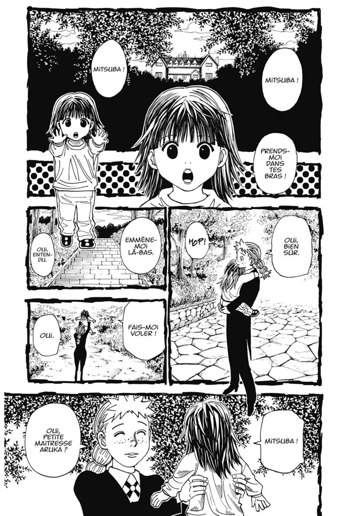 HUNTER x HUNTER Volume 31 page 30