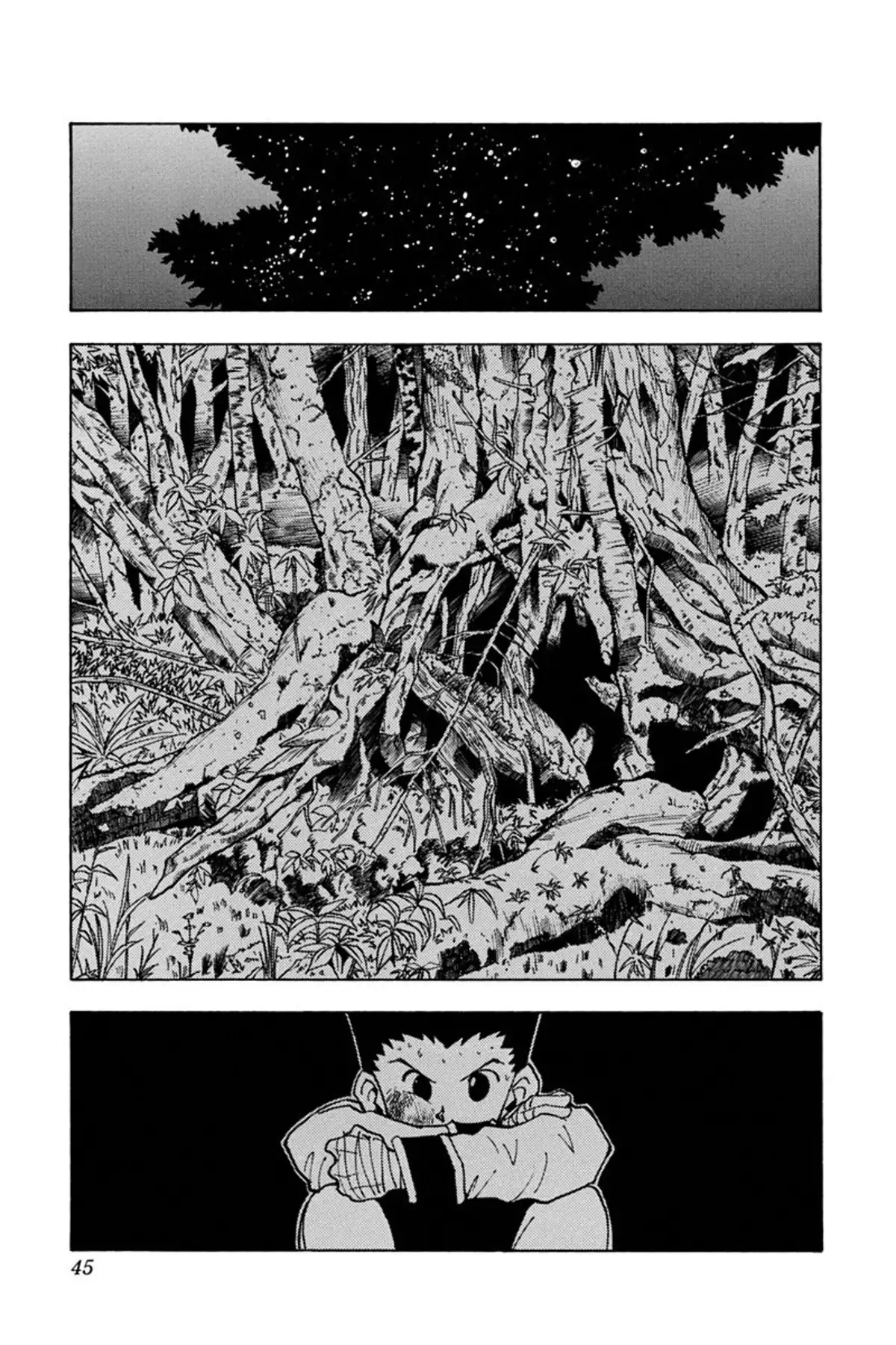 HUNTER x HUNTER Volume 4 page 44