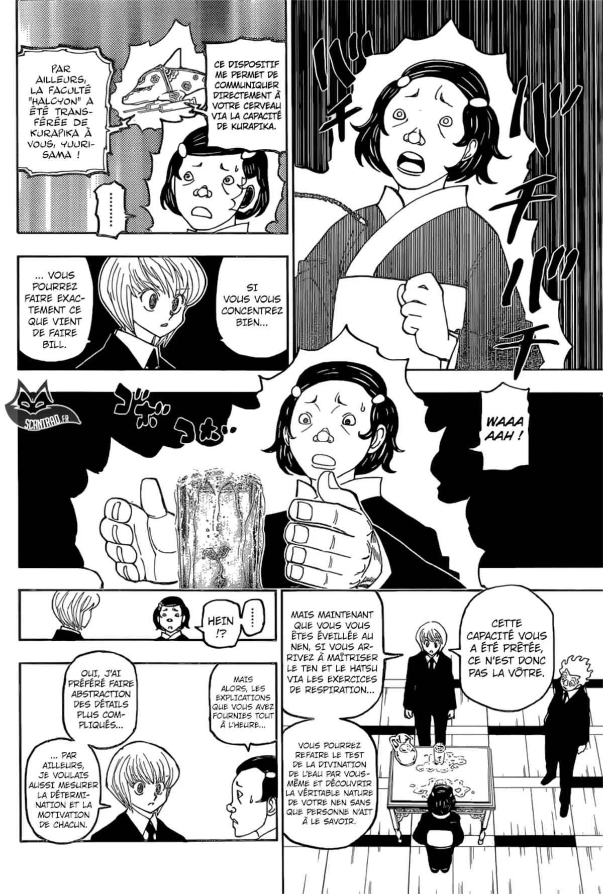 HUNTER x HUNTER Chapitre 388 page 12