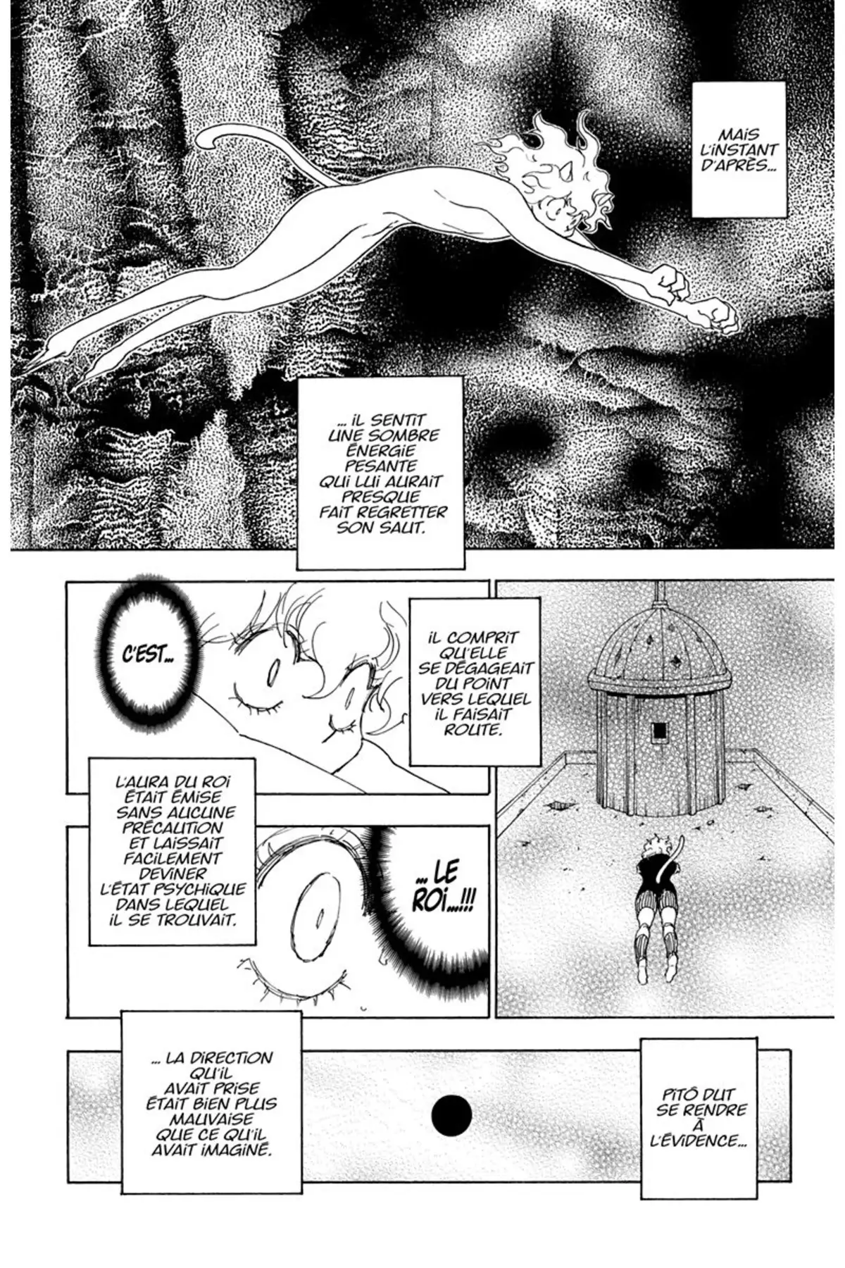 HUNTER x HUNTER Volume 25 page 141