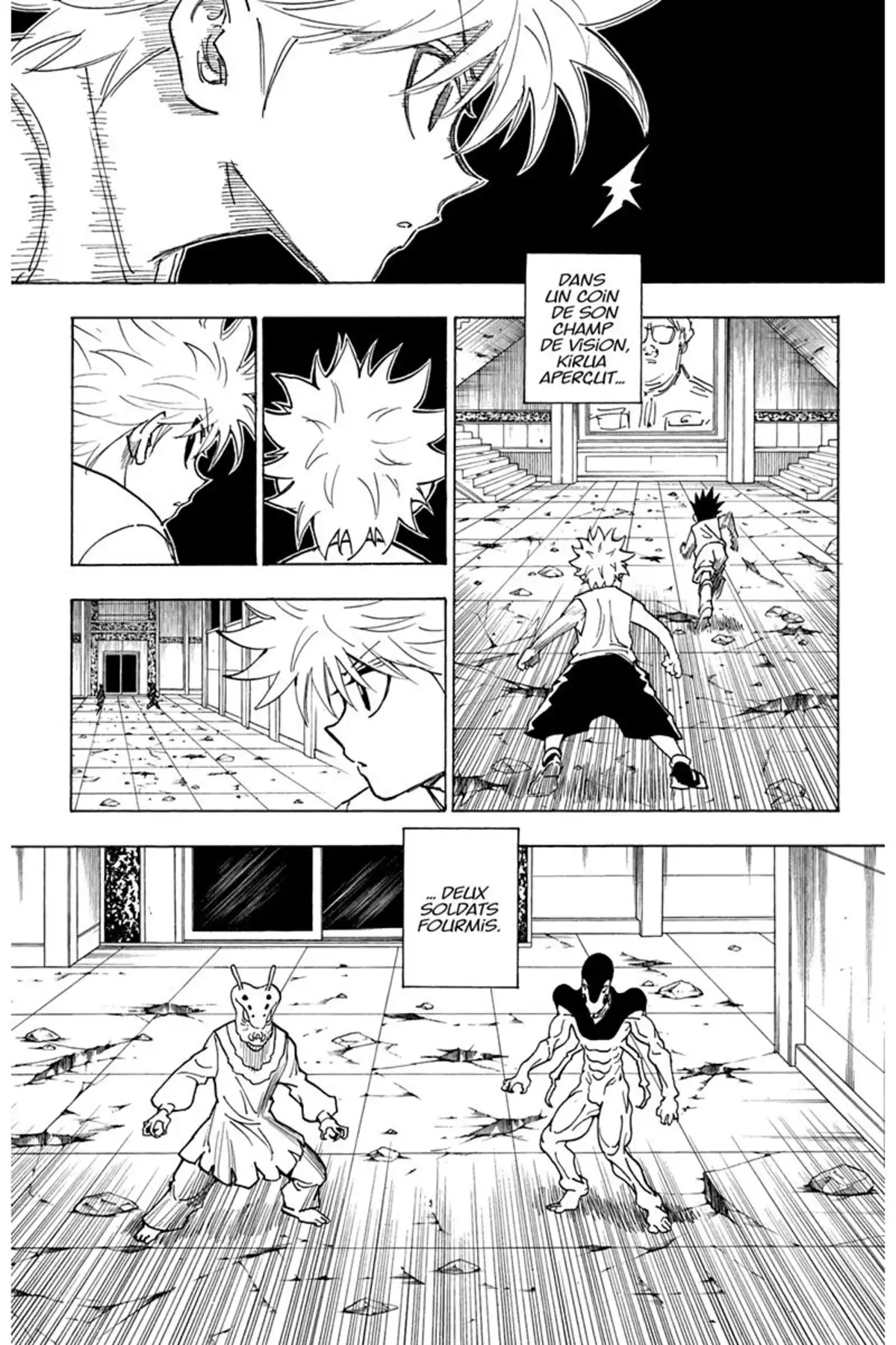 HUNTER x HUNTER Volume 25 page 175