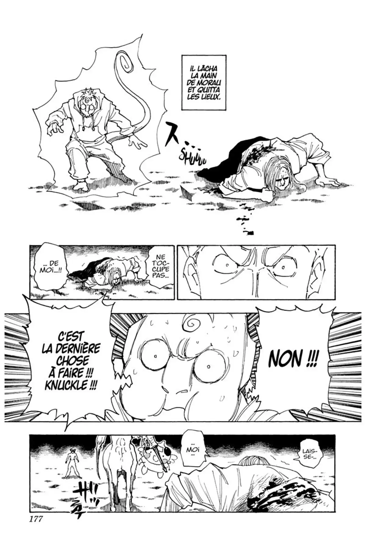 HUNTER x HUNTER Volume 27 page 176