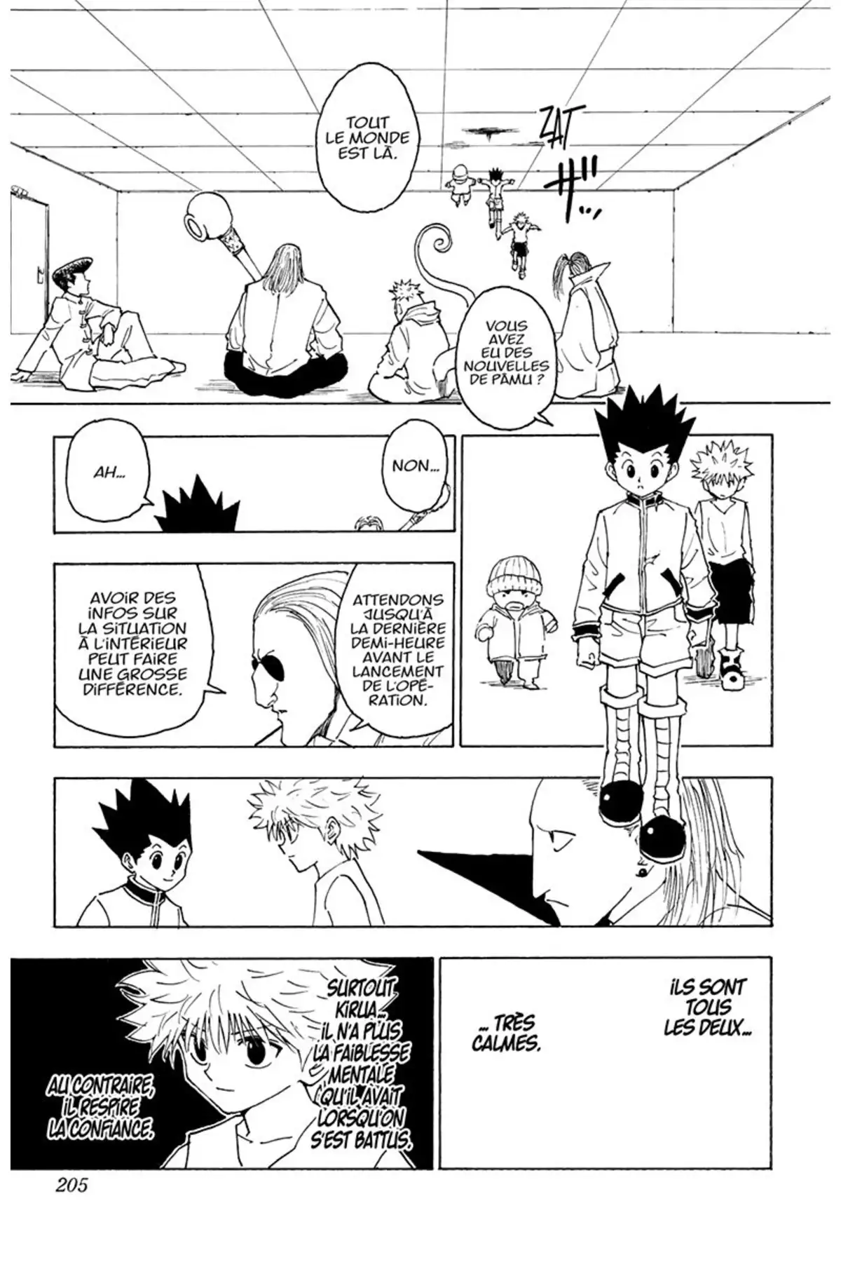 HUNTER x HUNTER Volume 24 page 204