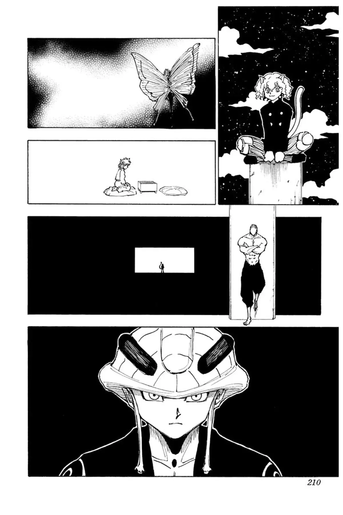 HUNTER x HUNTER Volume 24 page 209