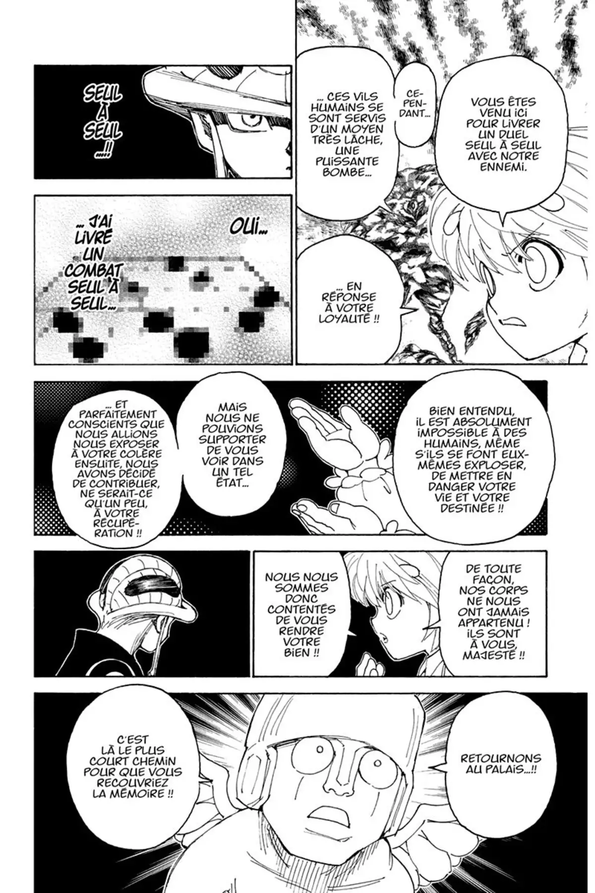 HUNTER x HUNTER Volume 29 page 13