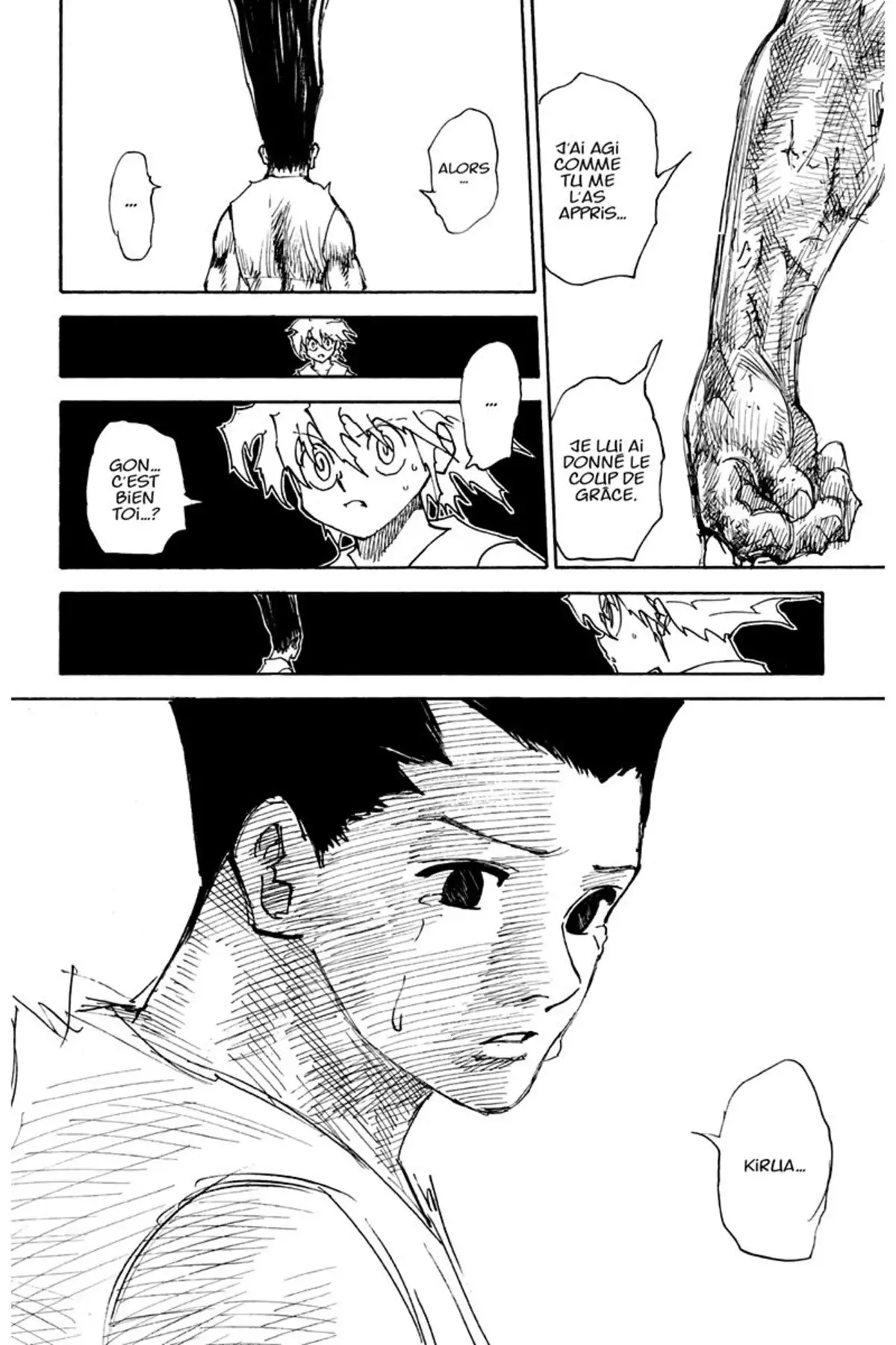 HUNTER x HUNTER Volume 29 page 131