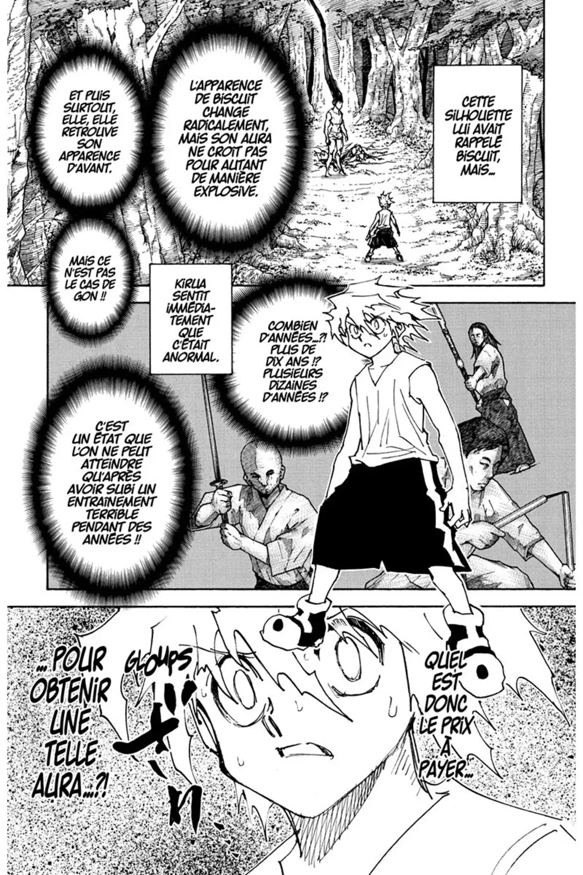 HUNTER x HUNTER Volume 29 page 132