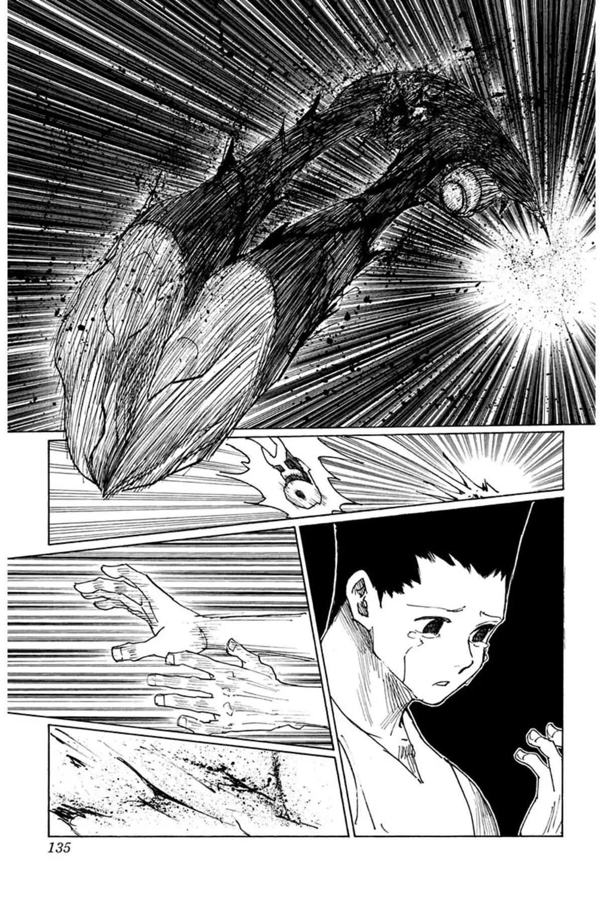 HUNTER x HUNTER Volume 29 page 134