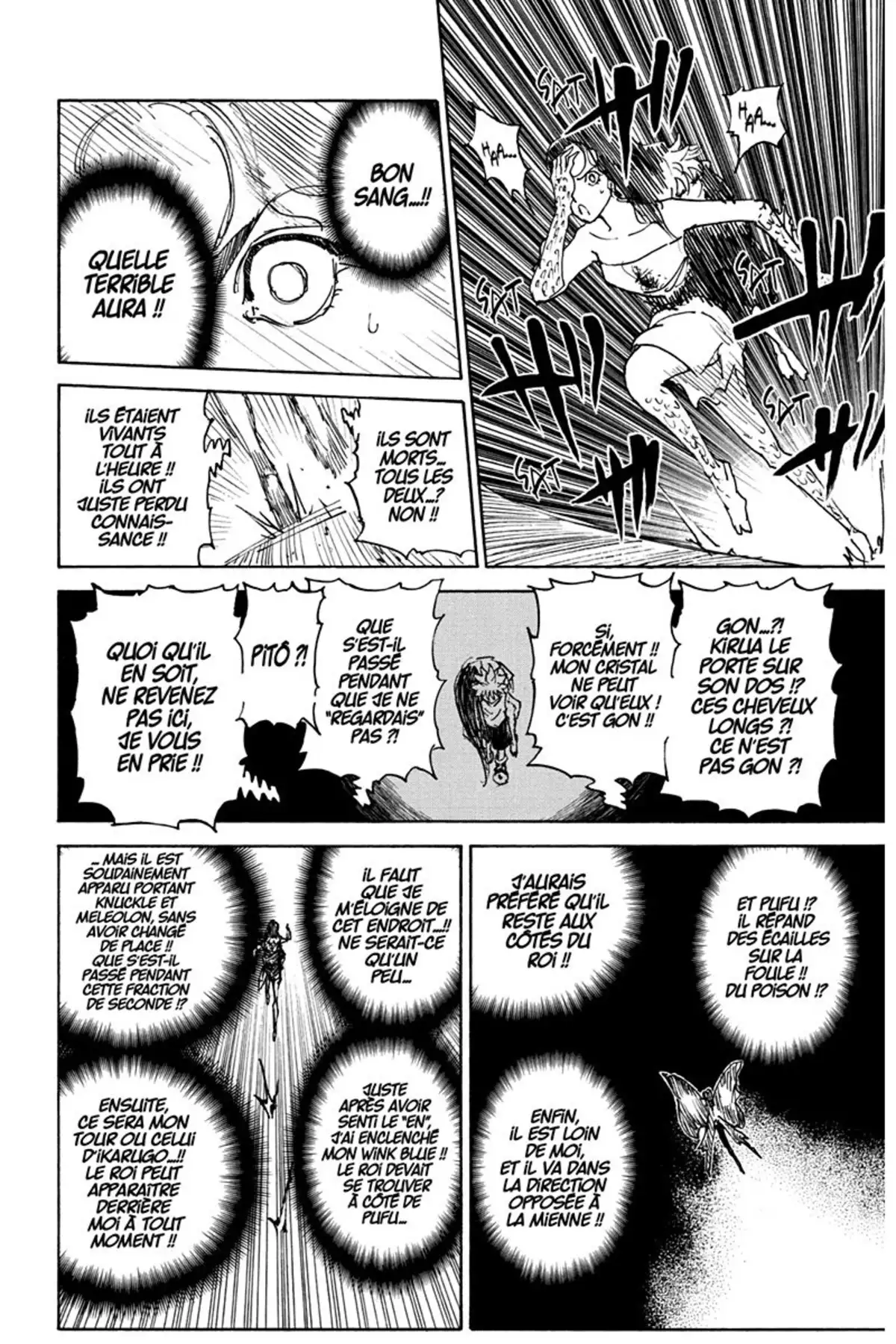 HUNTER x HUNTER Volume 29 page 175