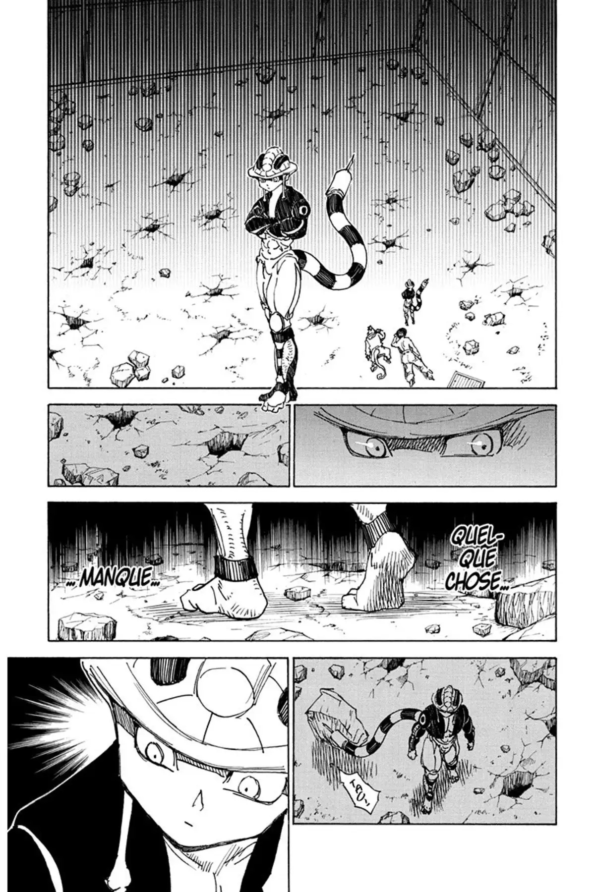 HUNTER x HUNTER Volume 29 page 194