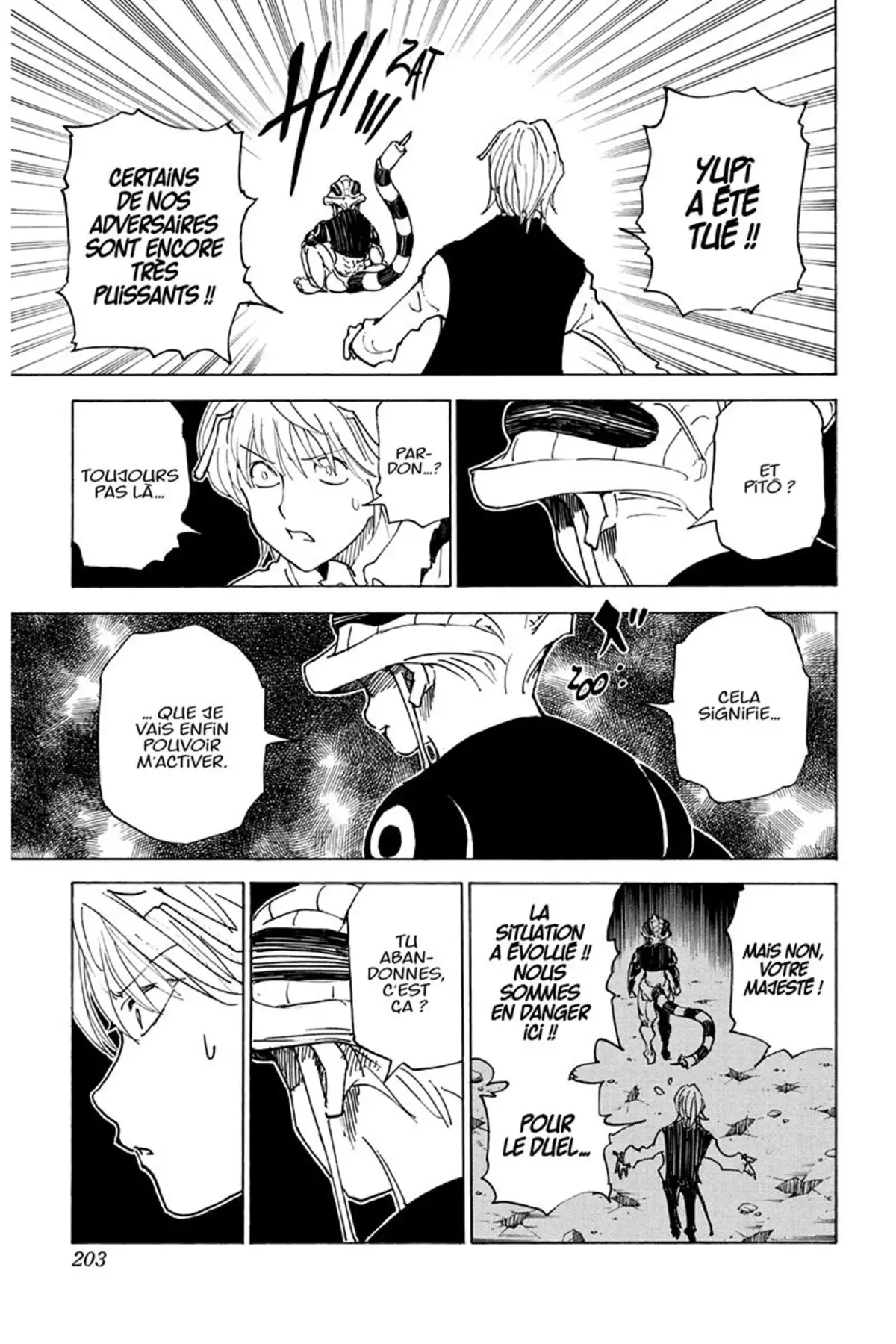 HUNTER x HUNTER Volume 29 page 202