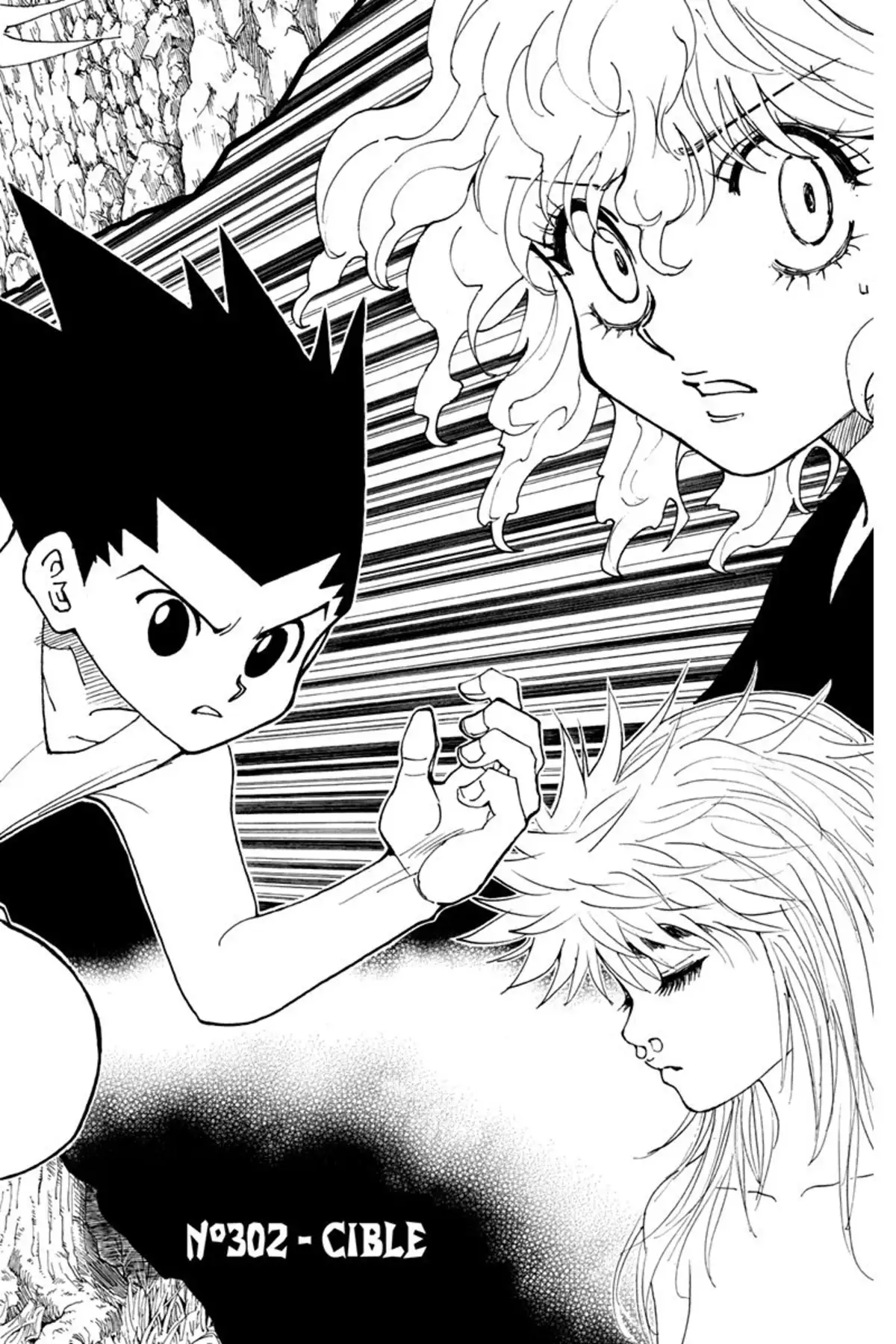 HUNTER x HUNTER Volume 29 page 27