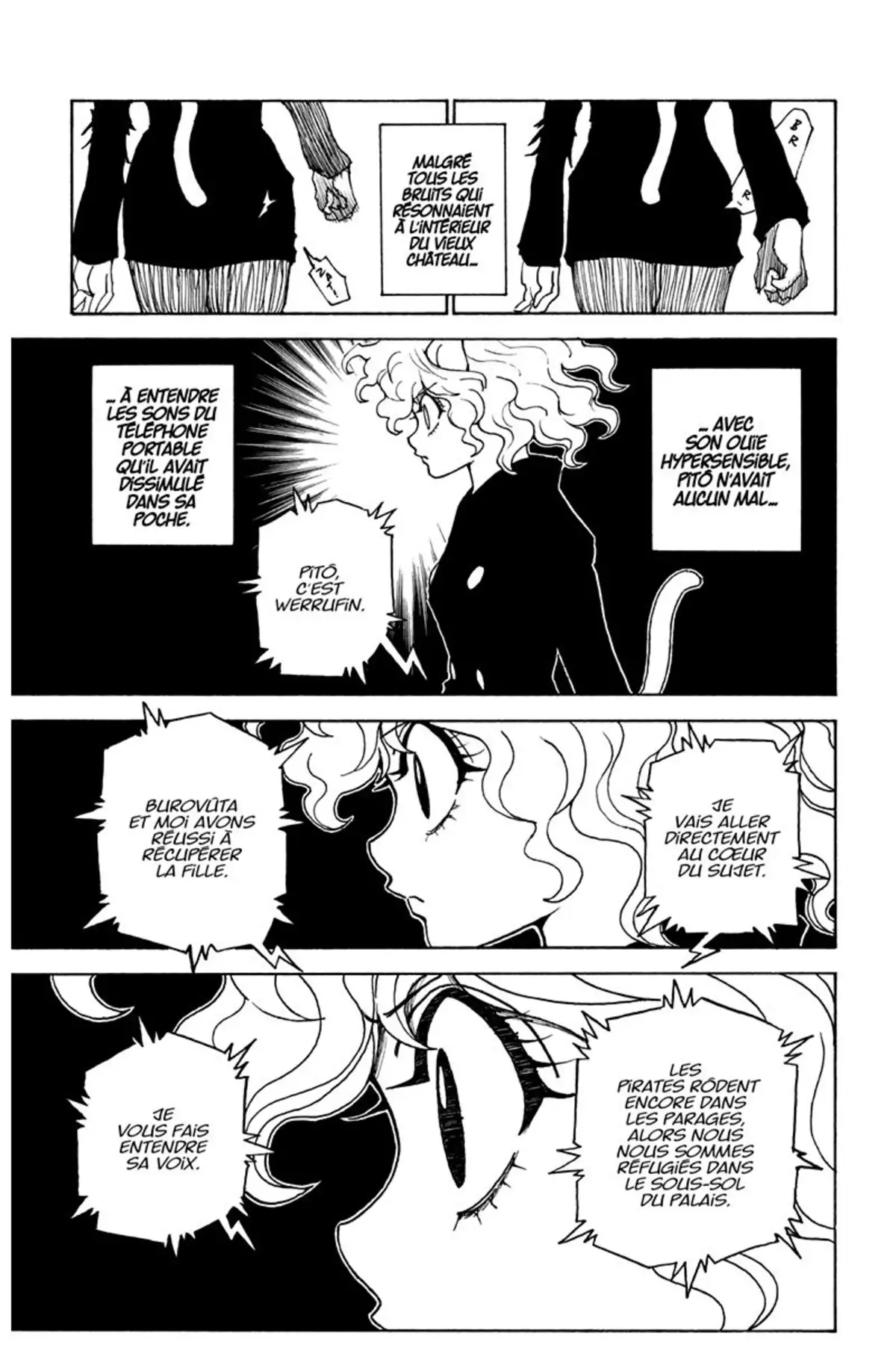 HUNTER x HUNTER Volume 29 page 74