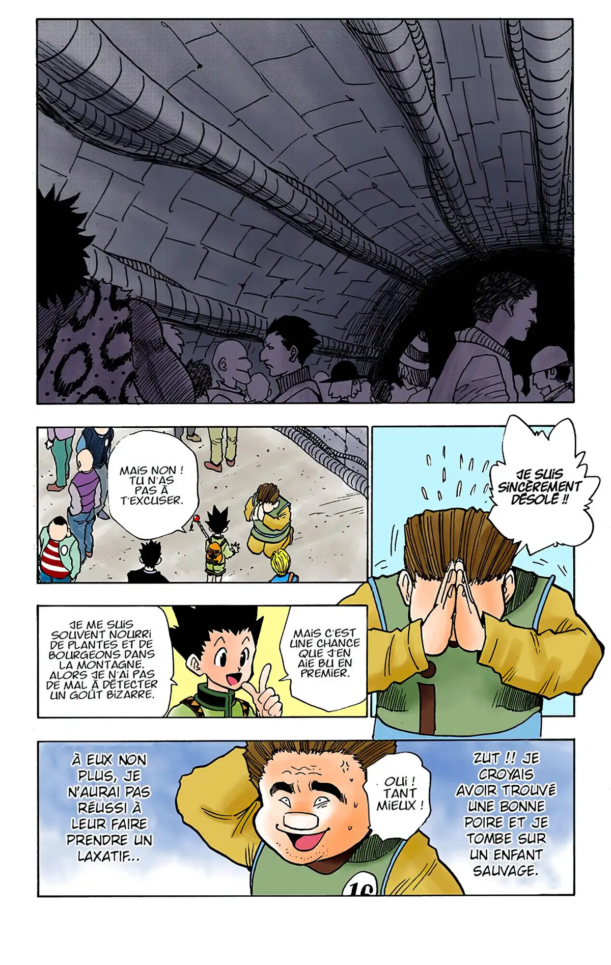 HUNTER x HUNTER Volume 1 page 117