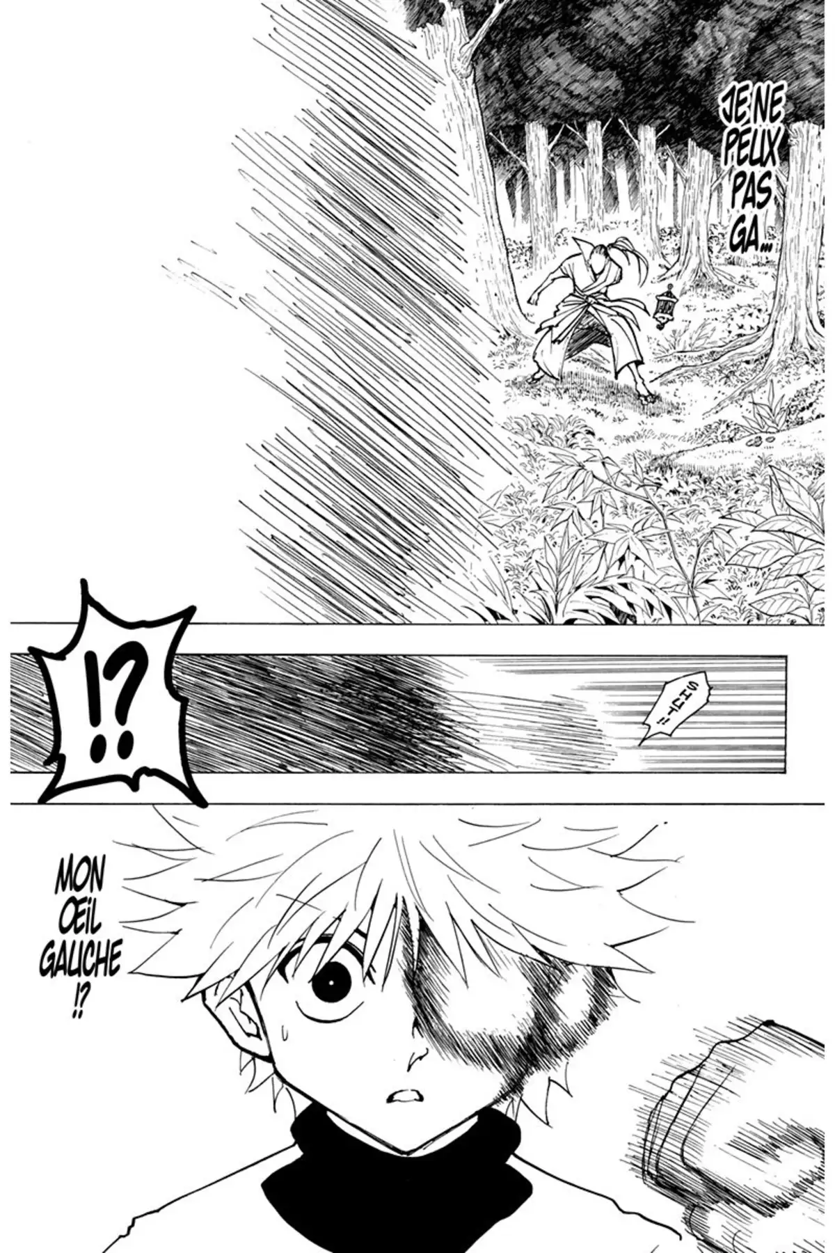 HUNTER x HUNTER Volume 21 page 12