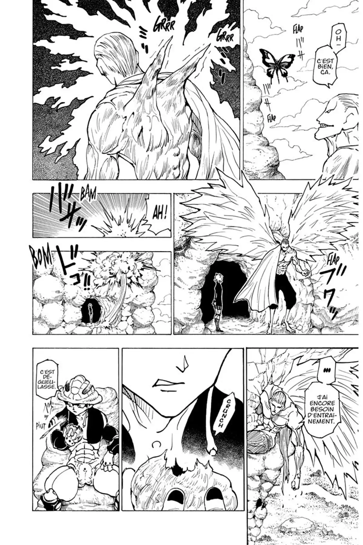 HUNTER x HUNTER Volume 21 page 33