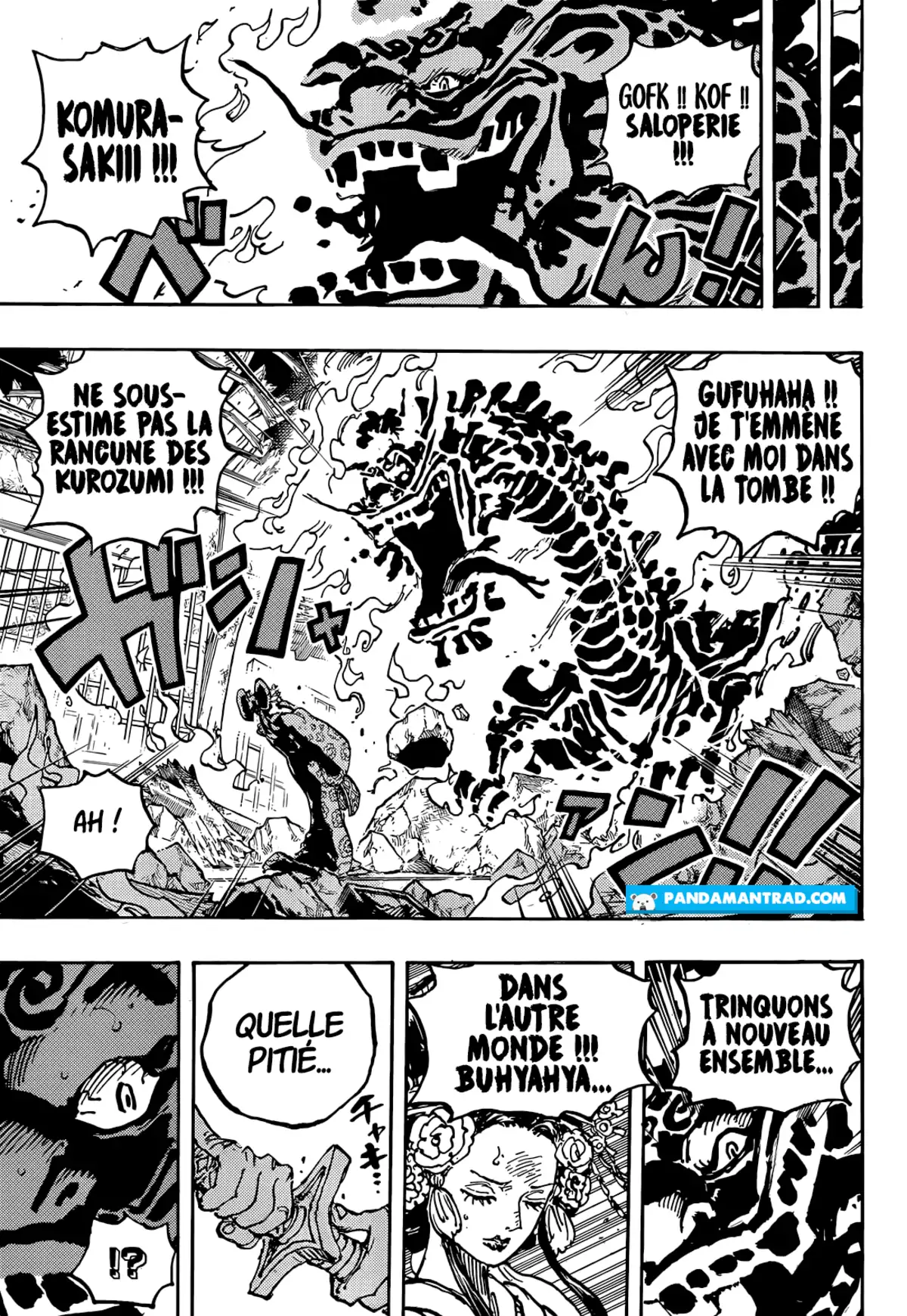 One Piece Chapitre 1048 page 13