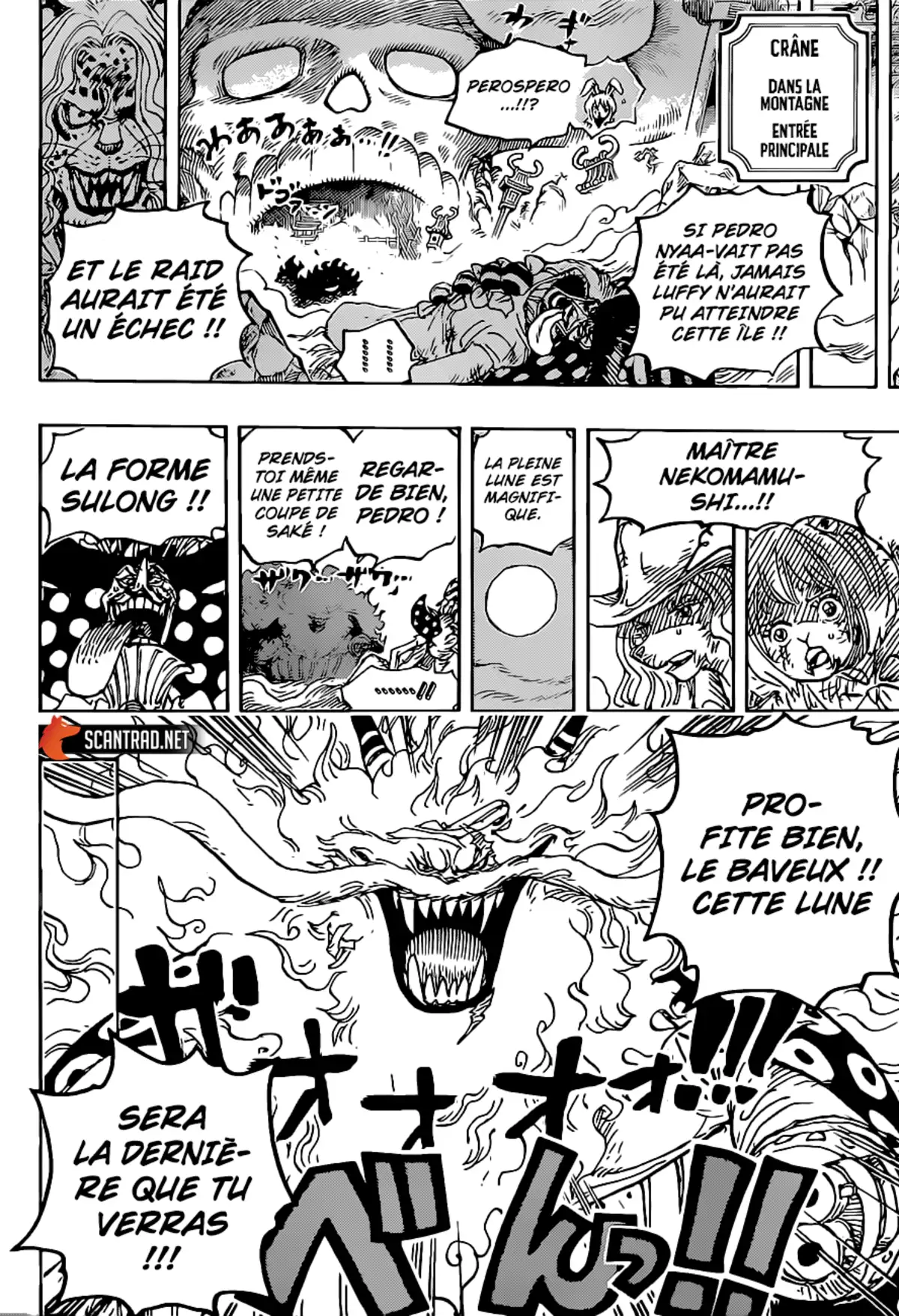 One Piece Chapitre 1023 page 15