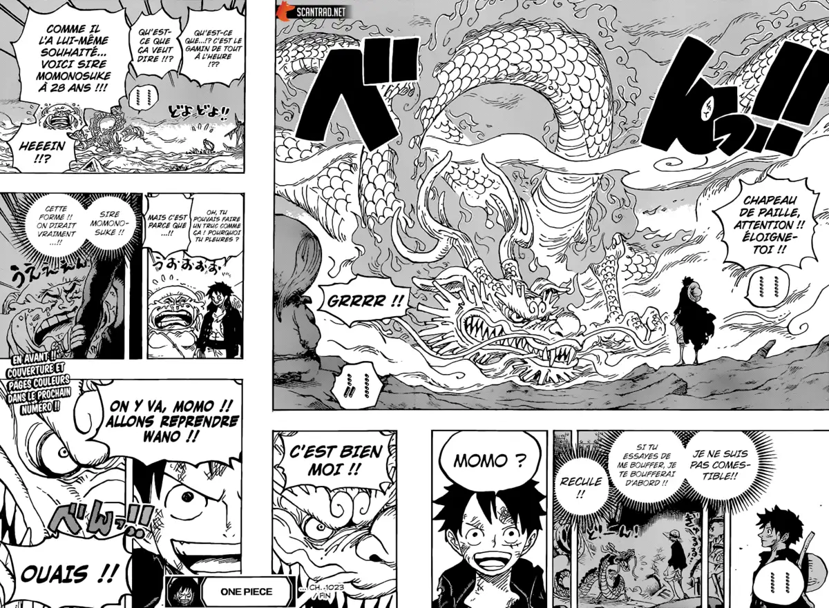 One Piece Chapitre 1023 page 17