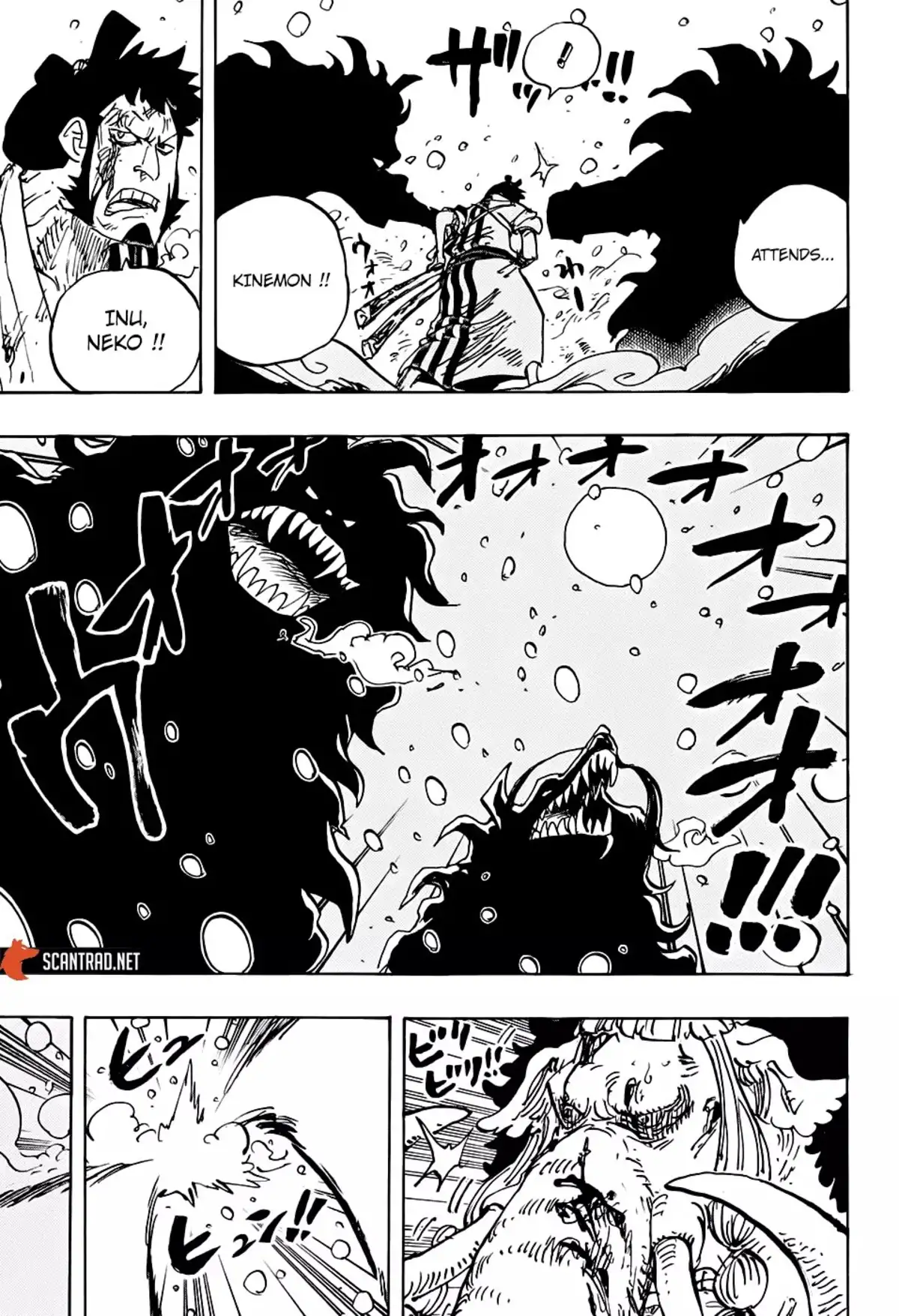 One Piece Chapitre 990 page 5