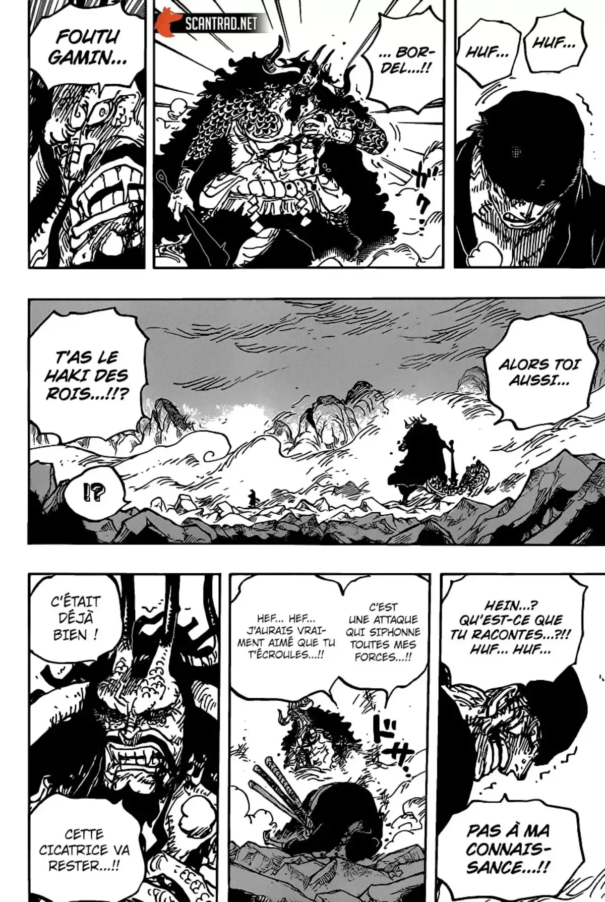 One Piece Chapitre 1010 page 10