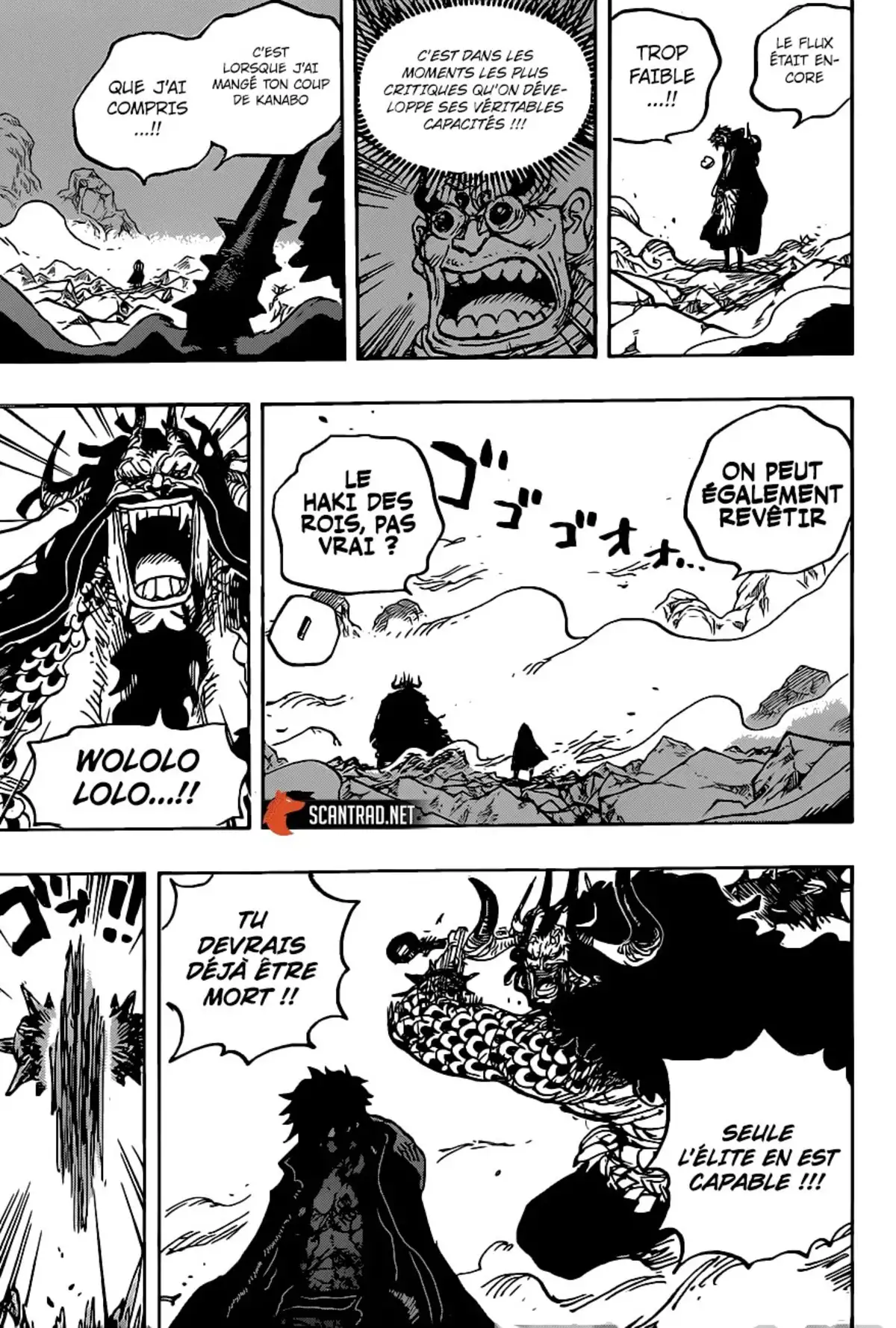 One Piece Chapitre 1010 page 13