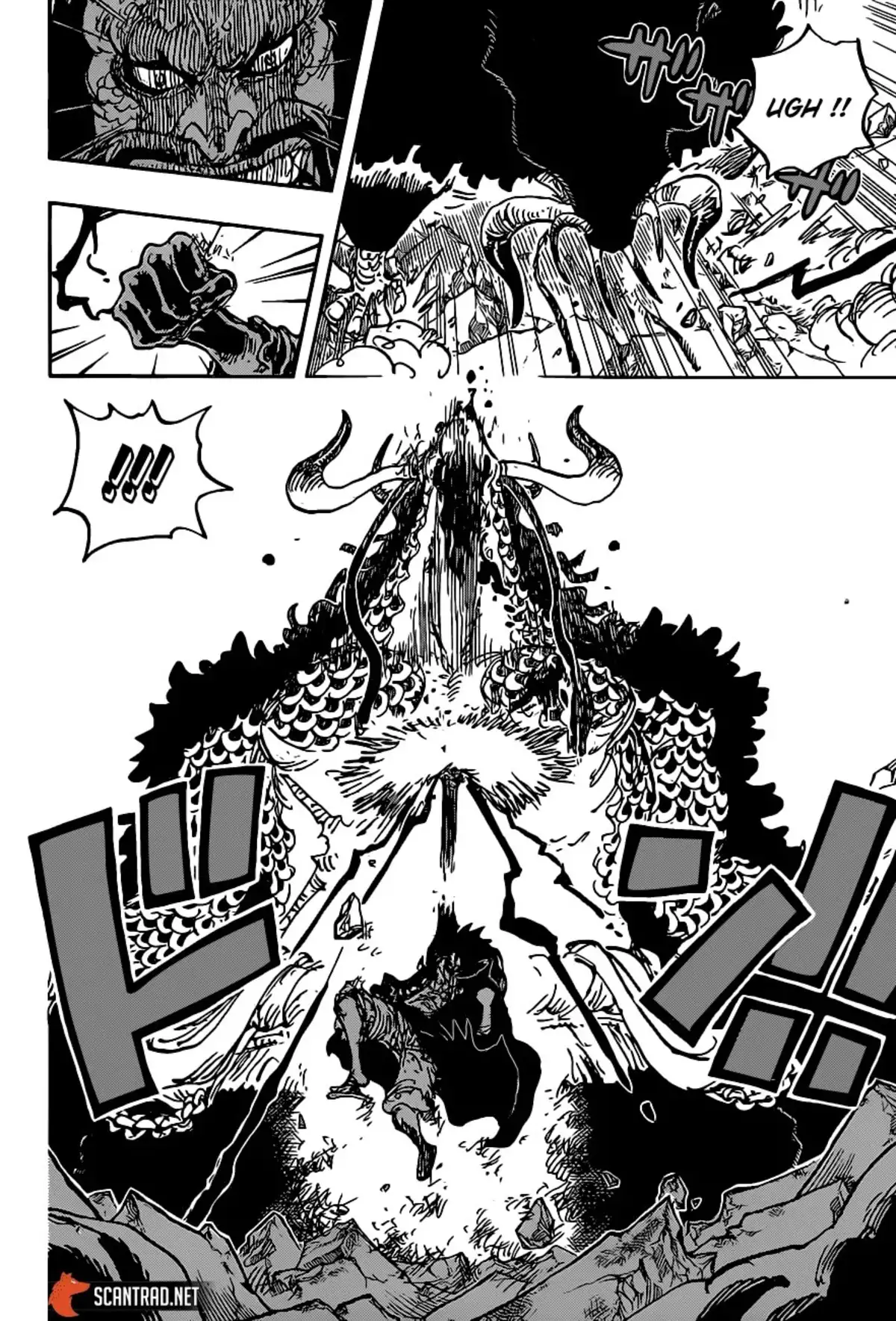 One Piece Chapitre 1010 page 16