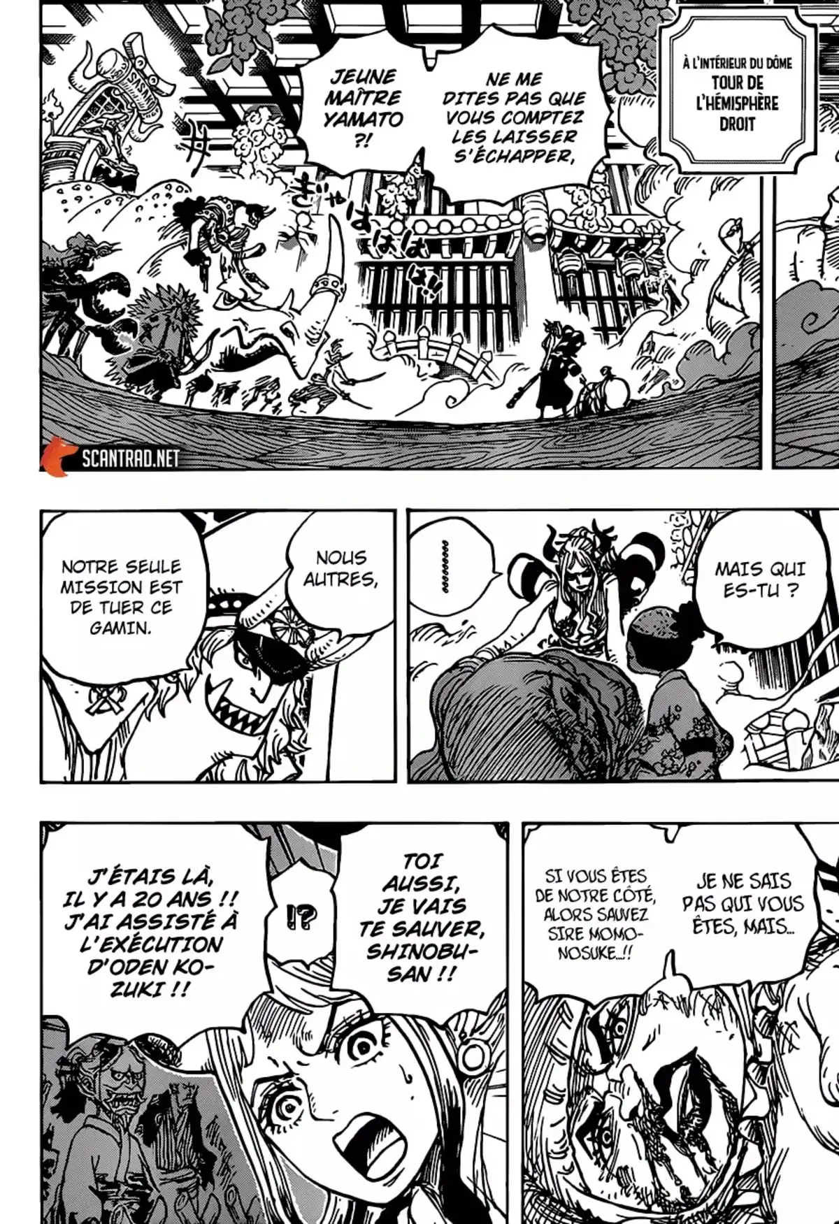 One Piece Chapitre 994 page 13