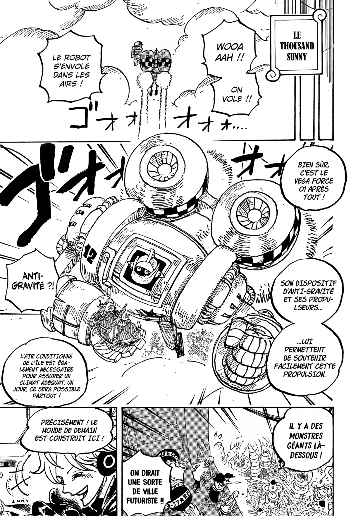 One Piece Chapitre 1064 page 12