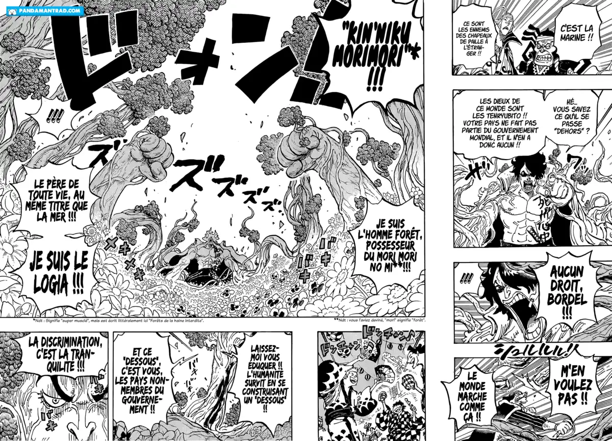 One Piece Chapitre 1054 page 4