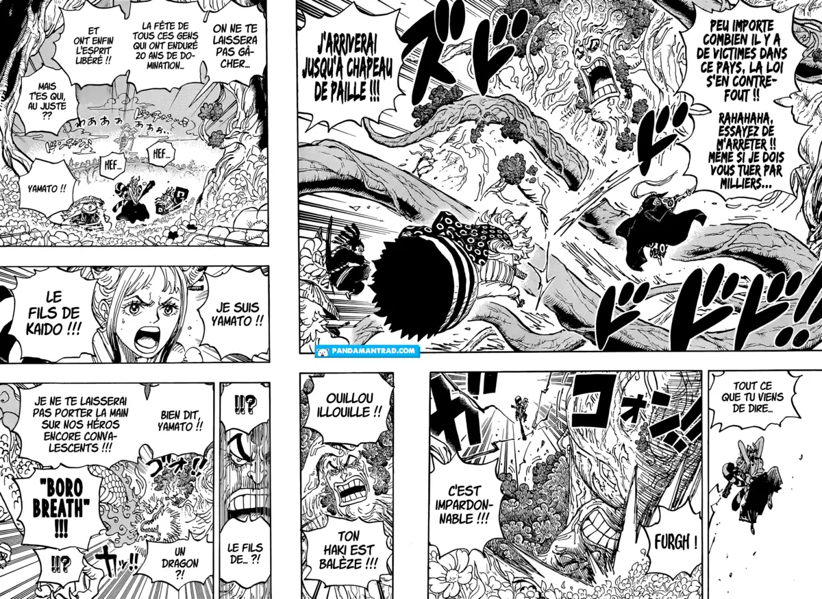 One Piece Chapitre 1054 page 5