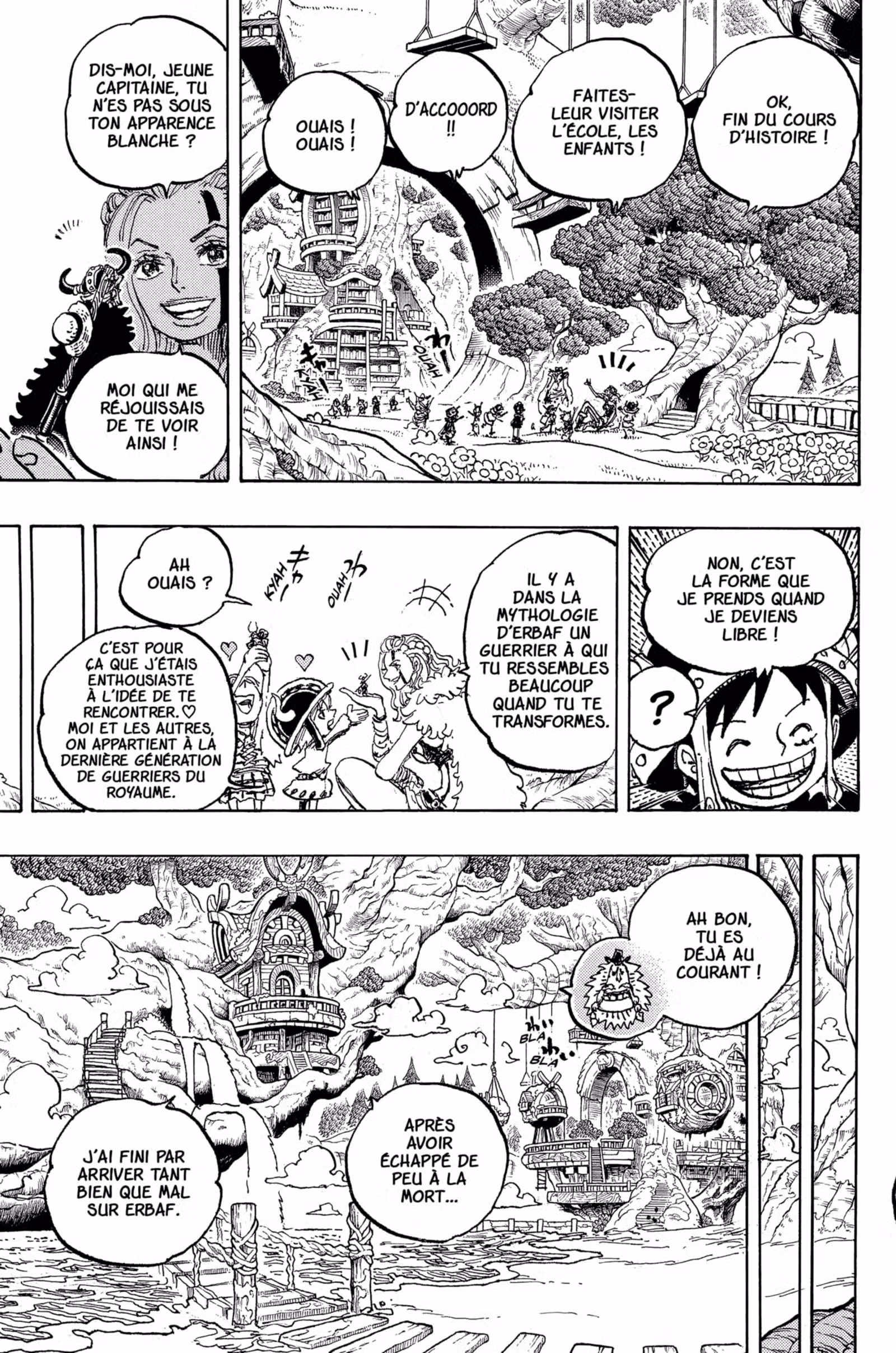 One Piece Chapitre 1134 page 12