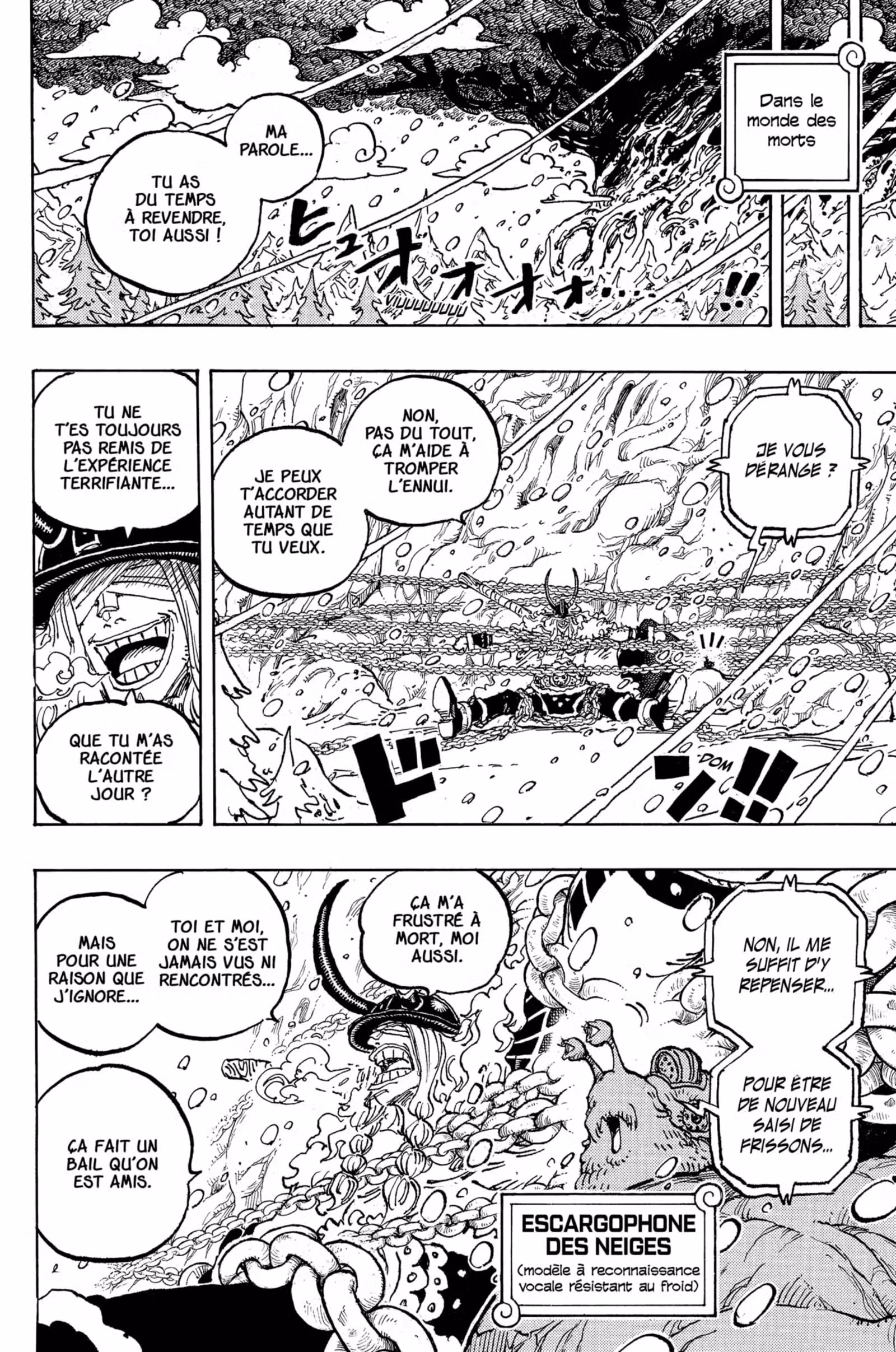 One Piece Chapitre 1134 page 14