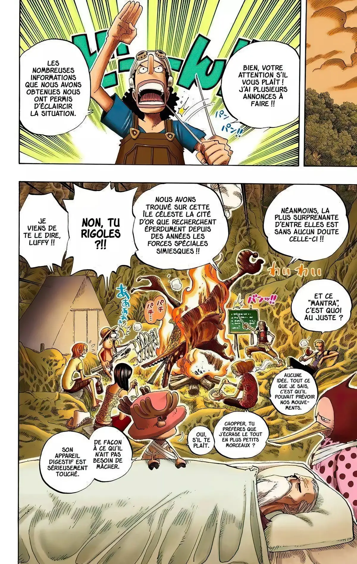 One Piece Volume 27 page 110