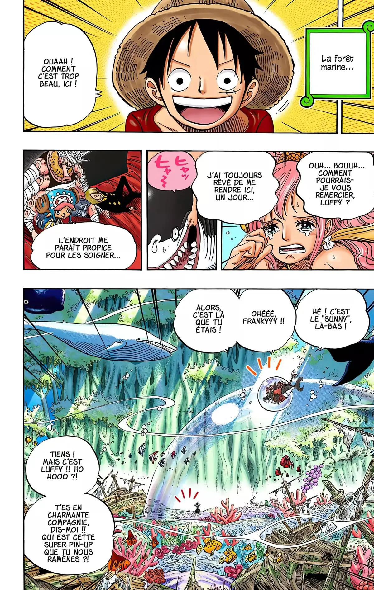 One Piece Volume 63 page 74