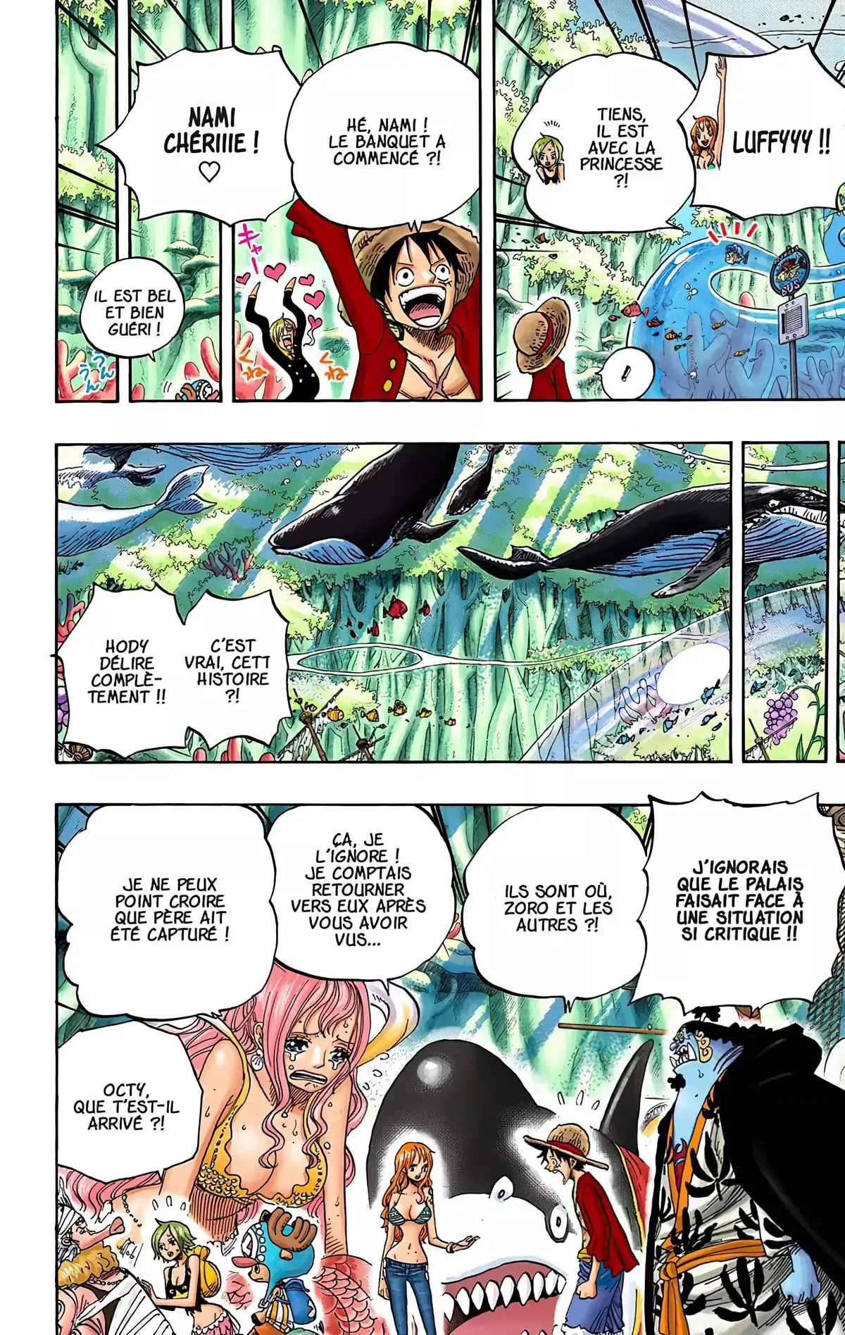 One Piece Volume 63 page 80
