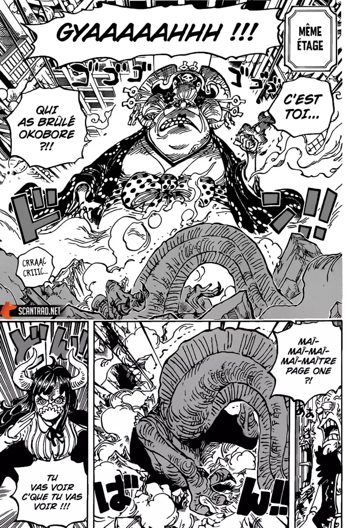 One Piece Chapitre 1012 page 12