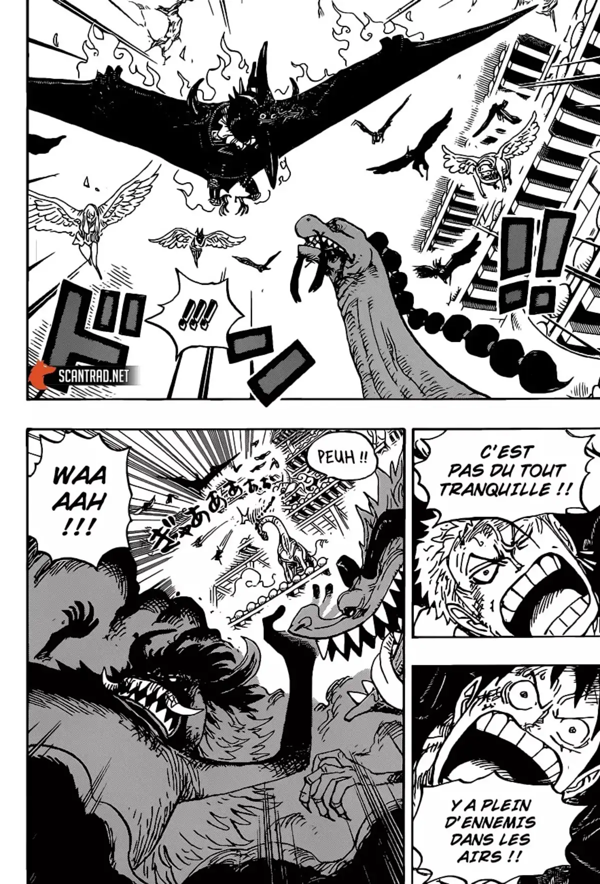 One Piece Chapitre 989 page 12