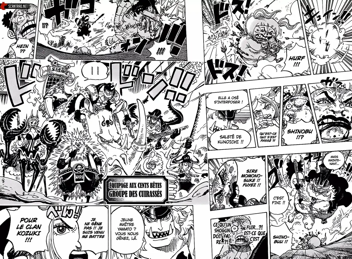 One Piece Chapitre 993 page 12