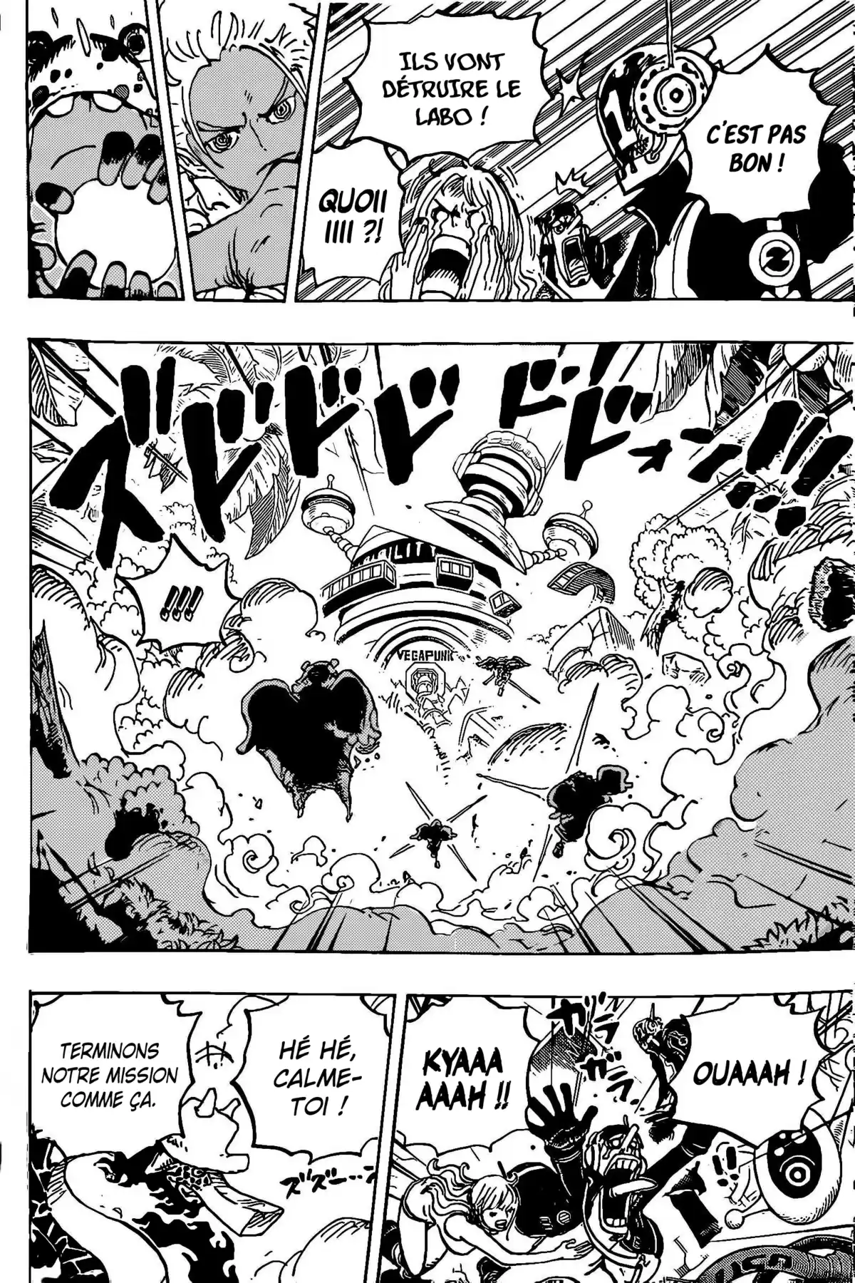 One Piece Chapitre 1072 page 14